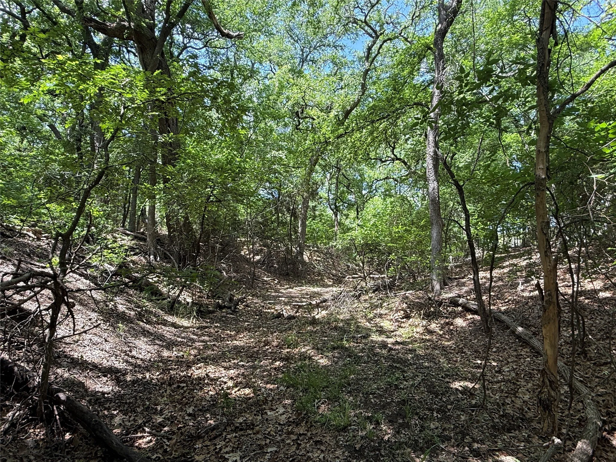 Farm For Sale in Hamilton County , 998 Hwy 22 E, Hamilton, Texas 76531, 3 Bedroom, 4 Bathroom, 2 Garage spaces, 3,962 Sqft, built in 1971, Preowned, mls#20917143, Real Estate Agent in Hamilton, Homes For Sale in Hamilton county, Homes For Sale in Hamilton, Realtor in Hamilton Texas, Real Estate Brokerage Independent Realty Texas, Luminita Cordes Realtor