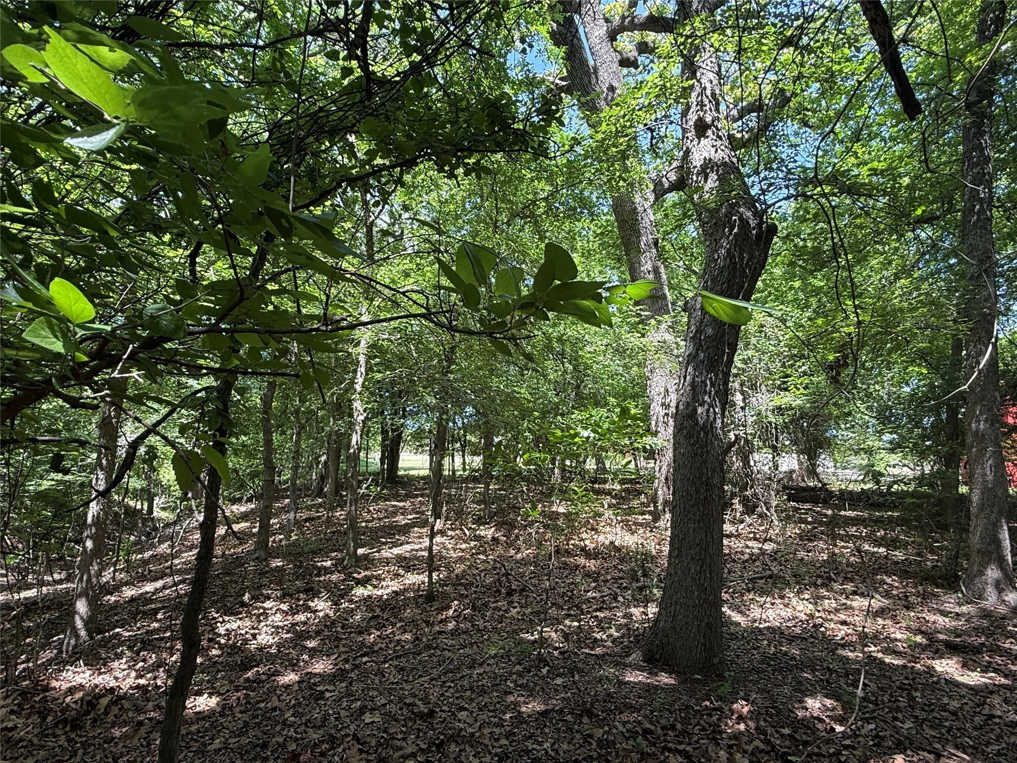 Farm For Sale in Hamilton County , 998 Hwy 22 E, Hamilton, Texas 76531, 3 Bedroom, 4 Bathroom, 2 Garage spaces, 3,962 Sqft, built in 1971, Preowned, mls#20917143, Real Estate Agent in Hamilton, Homes For Sale in Hamilton county, Homes For Sale in Hamilton, Realtor in Hamilton Texas, Real Estate Brokerage Independent Realty Texas, Luminita Cordes Realtor
