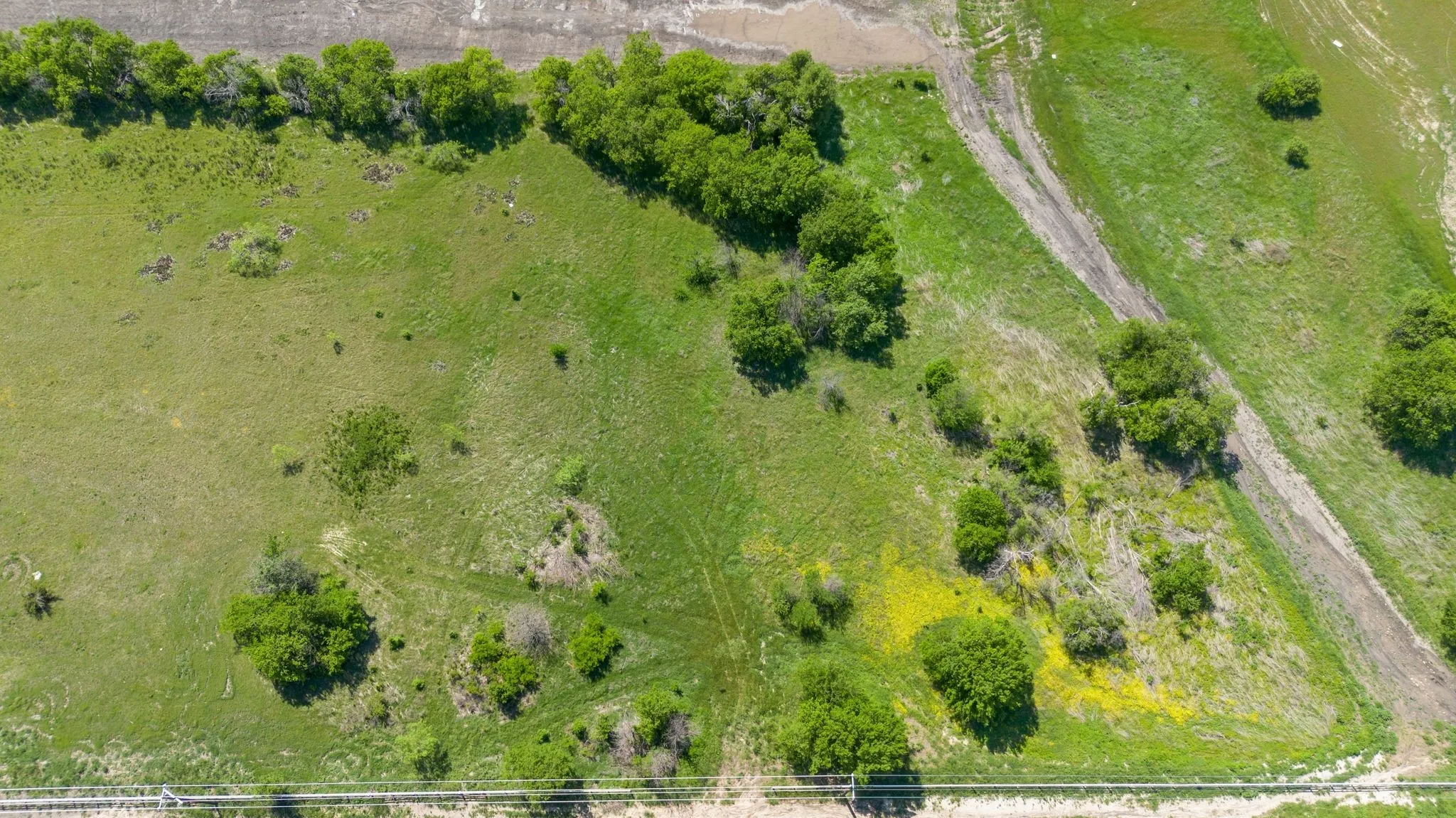A pretty natural tree line as a fence on proprty boundry