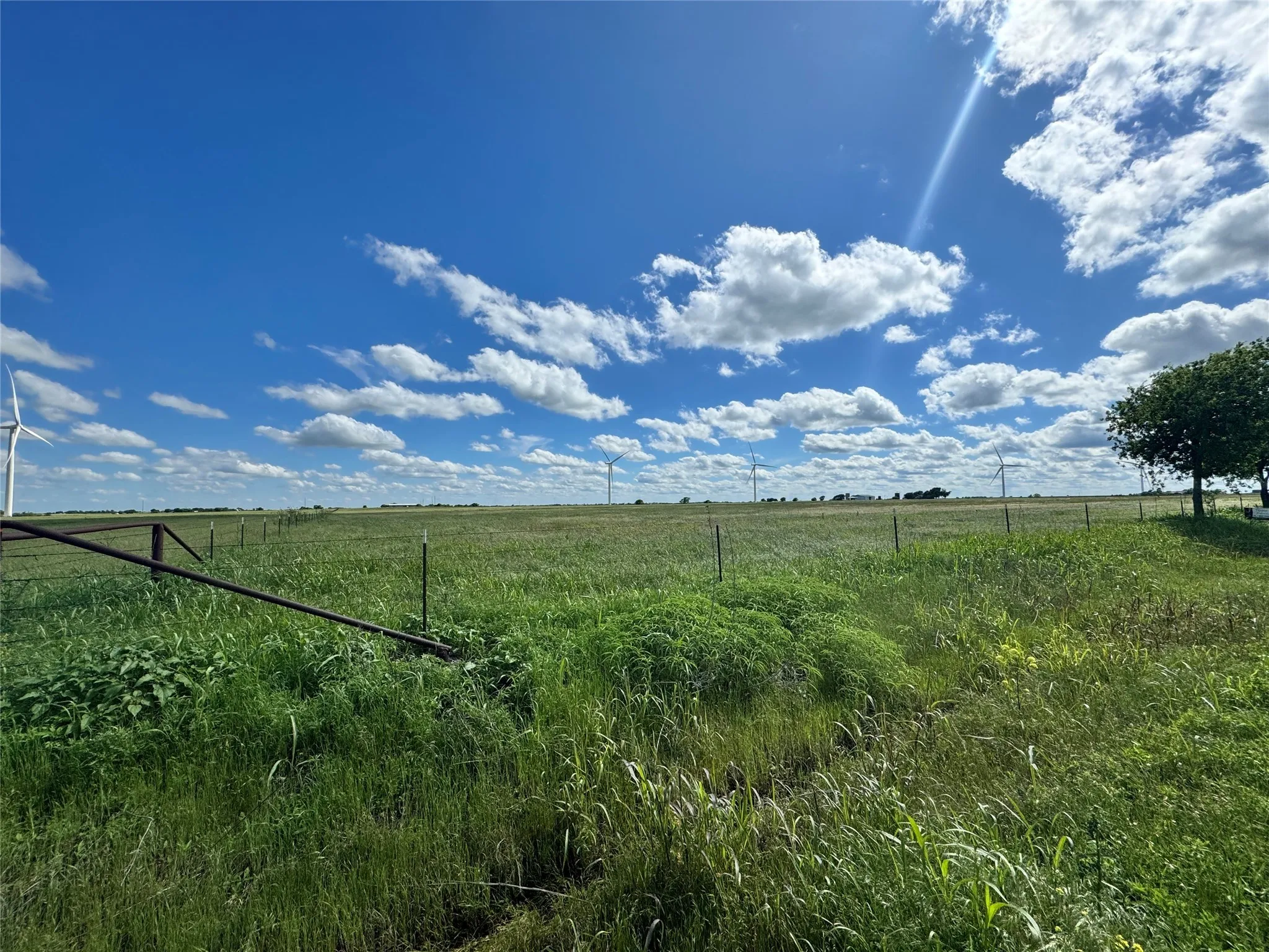 Unimproved Land For Sale in Cooke County , TBD County Road 424, Muenster, Texas 76252, 0, 0, Garage spaces, 0 Sqft, built in 0, mls#20918964, Real Estate Agent in Muenster, Homes For Sale in Cooke county, Homes For Sale in Muenster, Realtor in Muenster Texas, Real Estate Brokerage Independent Realty Texas, Luminita Cordes Realtor