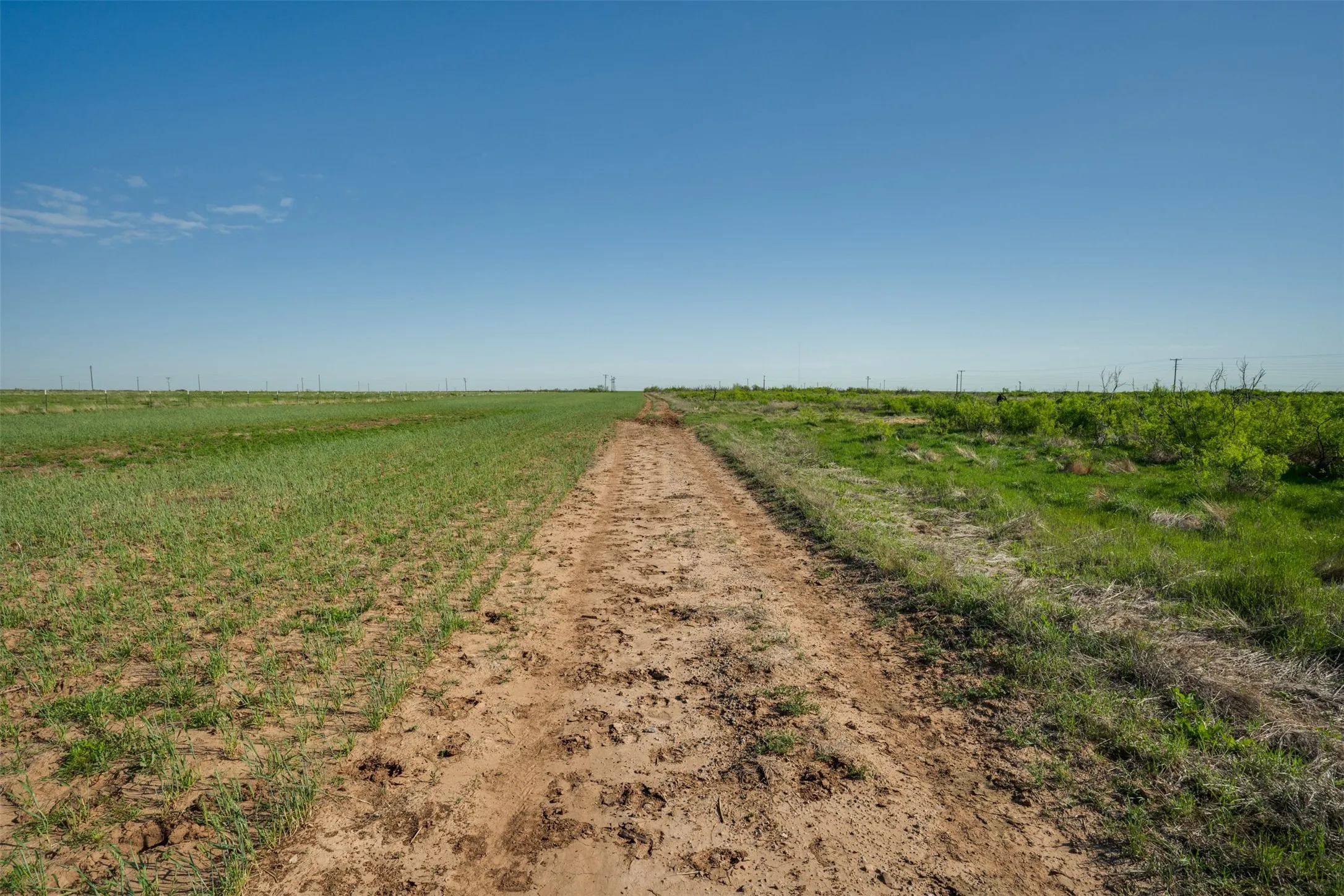 Ranch For Sale in Wichita County , TBD FM 1739, Electra, Texas 76360, 0, 0, Garage spaces, 0 Sqft, built in 0, Price $393,991, mls#20919052, Real Estate Agent in Electra, Homes For Sale in Wichita county, Homes For Sale in Electra, Realtor in Electra Texas, Real Estate Brokerage Independent Realty Texas, Luminita Cordes Realtor