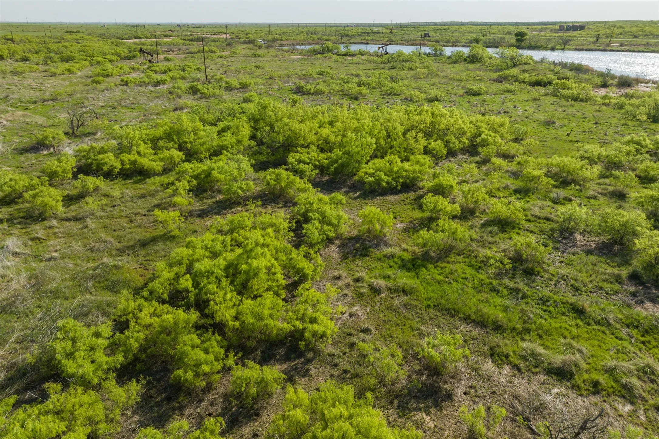 Ranch For Sale in Wichita County , TBD FM 1739, Electra, Texas 76360, 0, 0, Garage spaces, 0 Sqft, built in 0, Price $393,991, mls#20919052, Real Estate Agent in Electra, Homes For Sale in Wichita county, Homes For Sale in Electra, Realtor in Electra Texas, Real Estate Brokerage Independent Realty Texas, Luminita Cordes Realtor