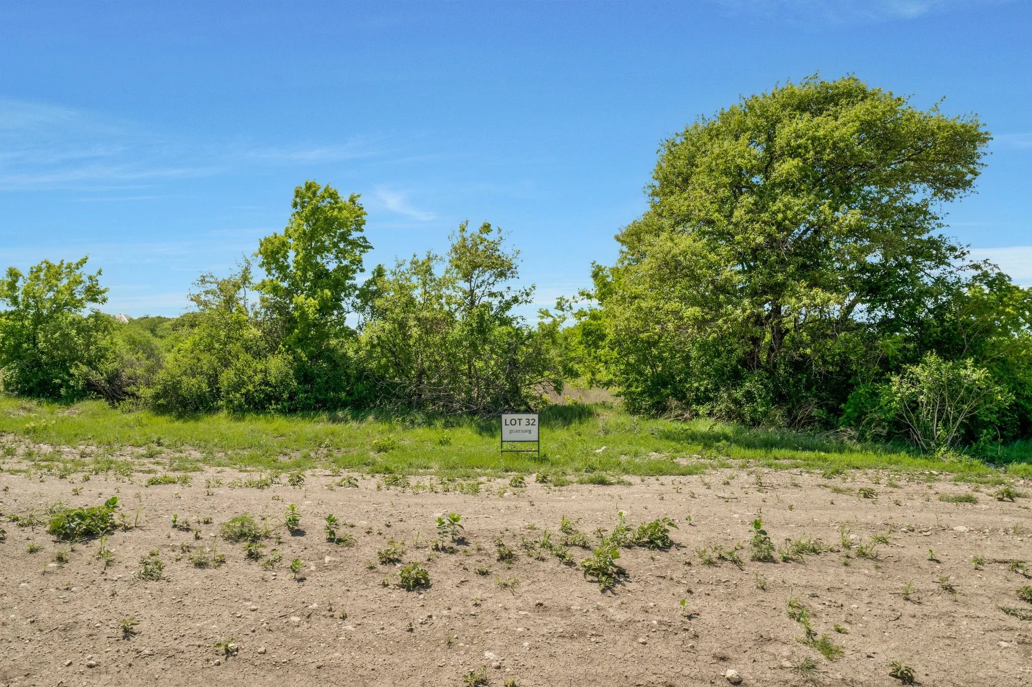 View of nature