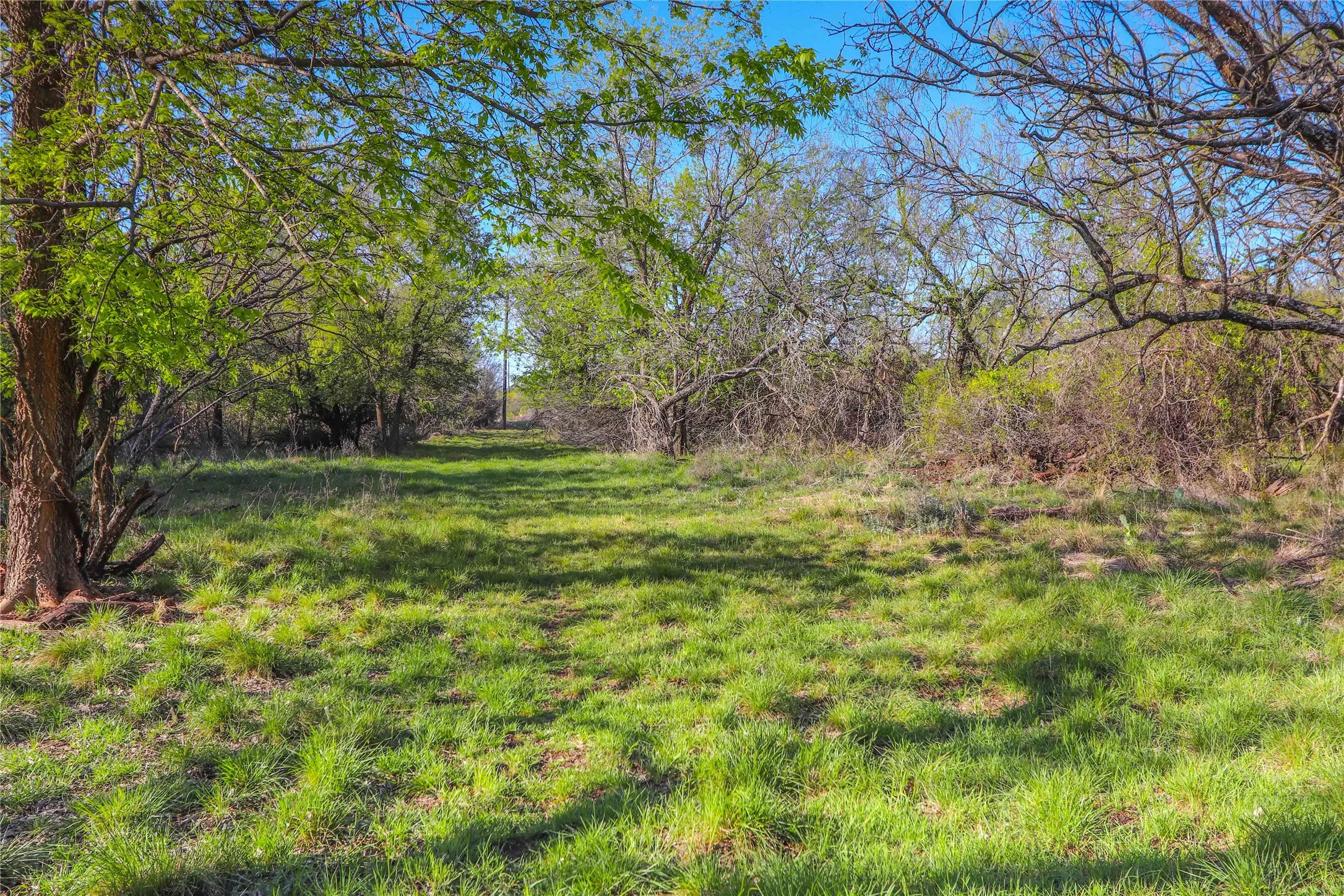 Ranch For Sale in Comanche County , 1952 FM 1689, Comanche, Texas 76442, 0, 0, Garage spaces, 0 Sqft, built in 1998, mls#20919476, Real Estate Agent in Comanche, Homes For Sale in Comanche county, Homes For Sale in Comanche, Realtor in Comanche Texas, Real Estate Brokerage Independent Realty Texas, Luminita Cordes Realtor