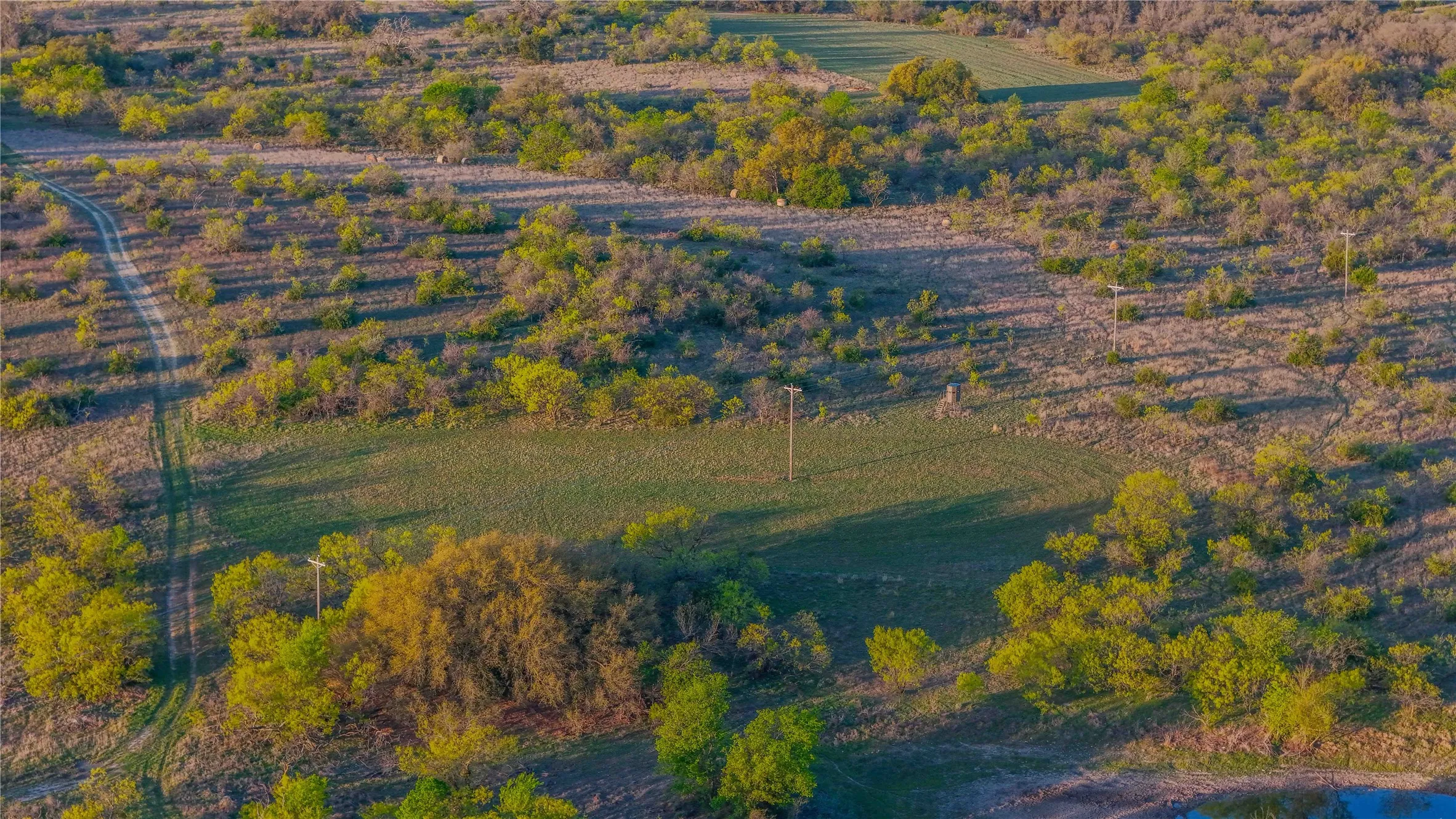 Ranch For Sale in Comanche County , 1952 FM 1689, Comanche, Texas 76442, 0, 0, Garage spaces, 0 Sqft, built in 1998, mls#20919476, Real Estate Agent in Comanche, Homes For Sale in Comanche county, Homes For Sale in Comanche, Realtor in Comanche Texas, Real Estate Brokerage Independent Realty Texas, Luminita Cordes Realtor