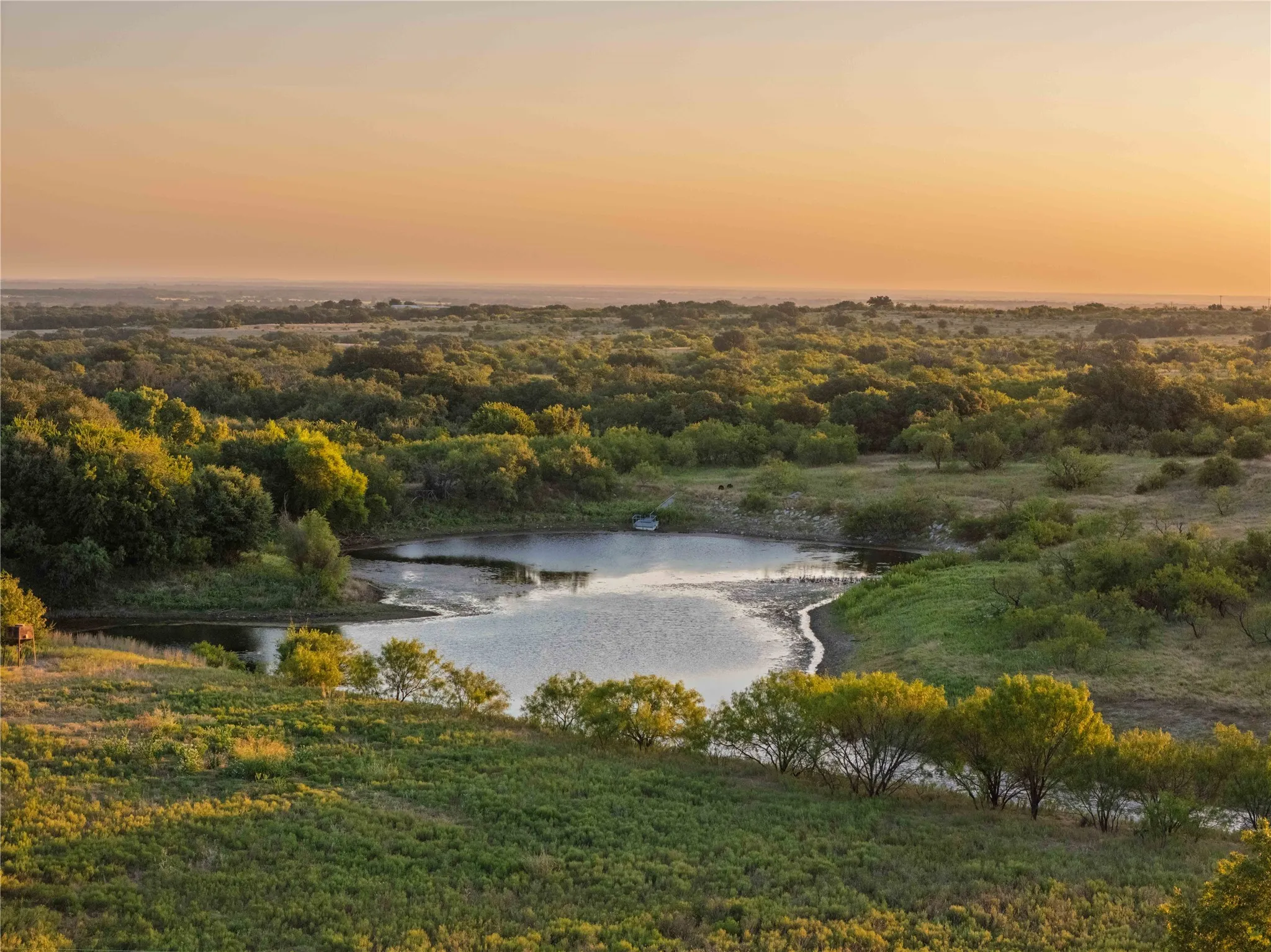Ranch For Sale in Comanche County , 1952 FM 1689, Comanche, Texas 76442, 0, 0, Garage spaces, 0 Sqft, built in 1998, mls#20919476, Real Estate Agent in Comanche, Homes For Sale in Comanche county, Homes For Sale in Comanche, Realtor in Comanche Texas, Real Estate Brokerage Independent Realty Texas, Luminita Cordes Realtor