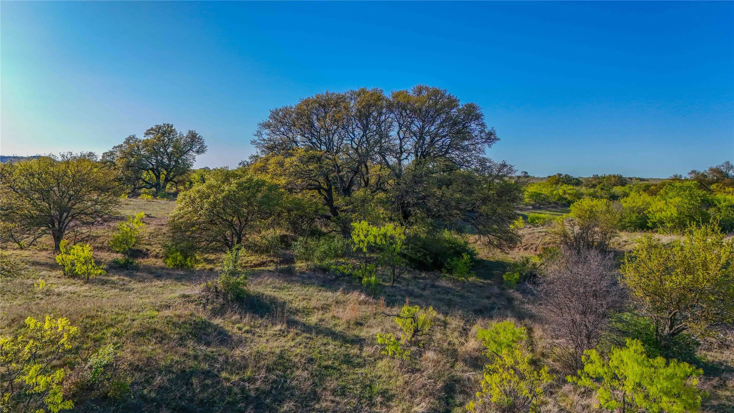 Ranch For Sale in Comanche County , 1952 FM 1689, Comanche, Texas 76442, 0, 0, Garage spaces, 0 Sqft, built in 1998, mls#20919476, Real Estate Agent in Comanche, Homes For Sale in Comanche county, Homes For Sale in Comanche, Realtor in Comanche Texas, Real Estate Brokerage Independent Realty Texas, Luminita Cordes Realtor