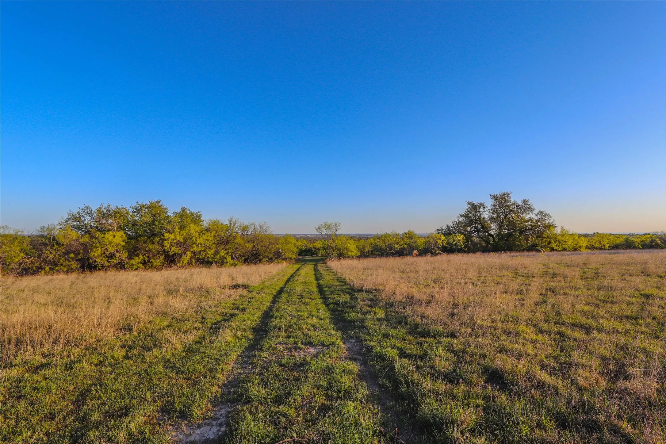 Ranch For Sale in Comanche County , 1952 FM 1689, Comanche, Texas 76442, 0, 0, Garage spaces, 0 Sqft, built in 1998, mls#20919476, Real Estate Agent in Comanche, Homes For Sale in Comanche county, Homes For Sale in Comanche, Realtor in Comanche Texas, Real Estate Brokerage Independent Realty Texas, Luminita Cordes Realtor