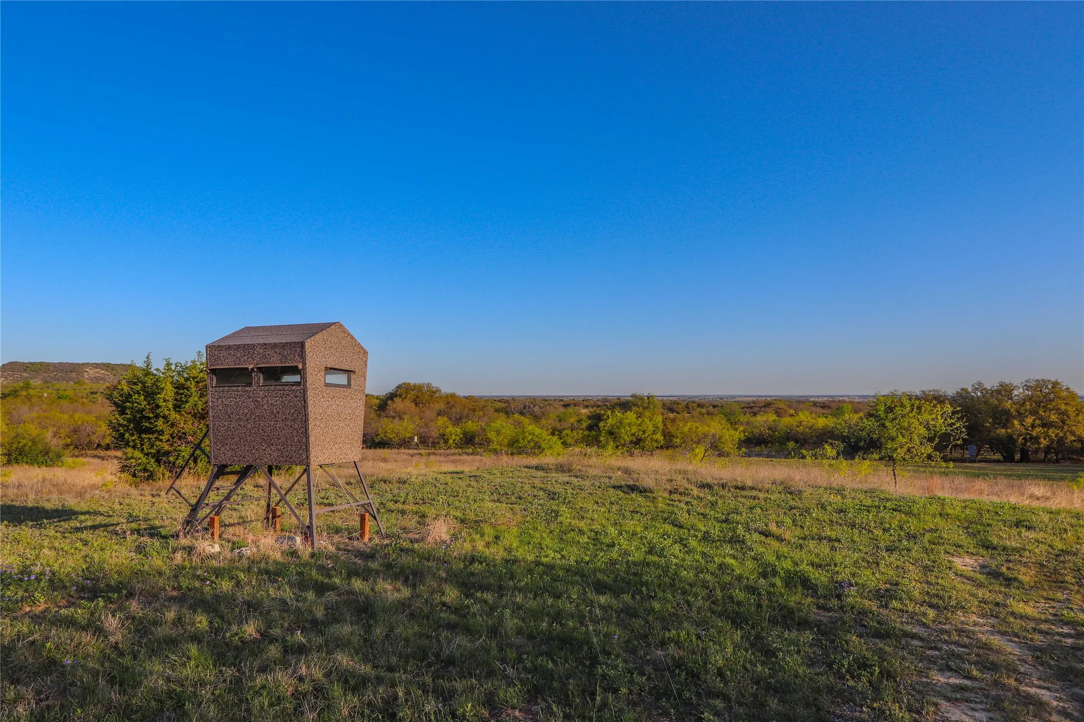 Ranch For Sale in Comanche County , 1952 FM 1689, Comanche, Texas 76442, 0, 0, Garage spaces, 0 Sqft, built in 1998, mls#20919476, Real Estate Agent in Comanche, Homes For Sale in Comanche county, Homes For Sale in Comanche, Realtor in Comanche Texas, Real Estate Brokerage Independent Realty Texas, Luminita Cordes Realtor