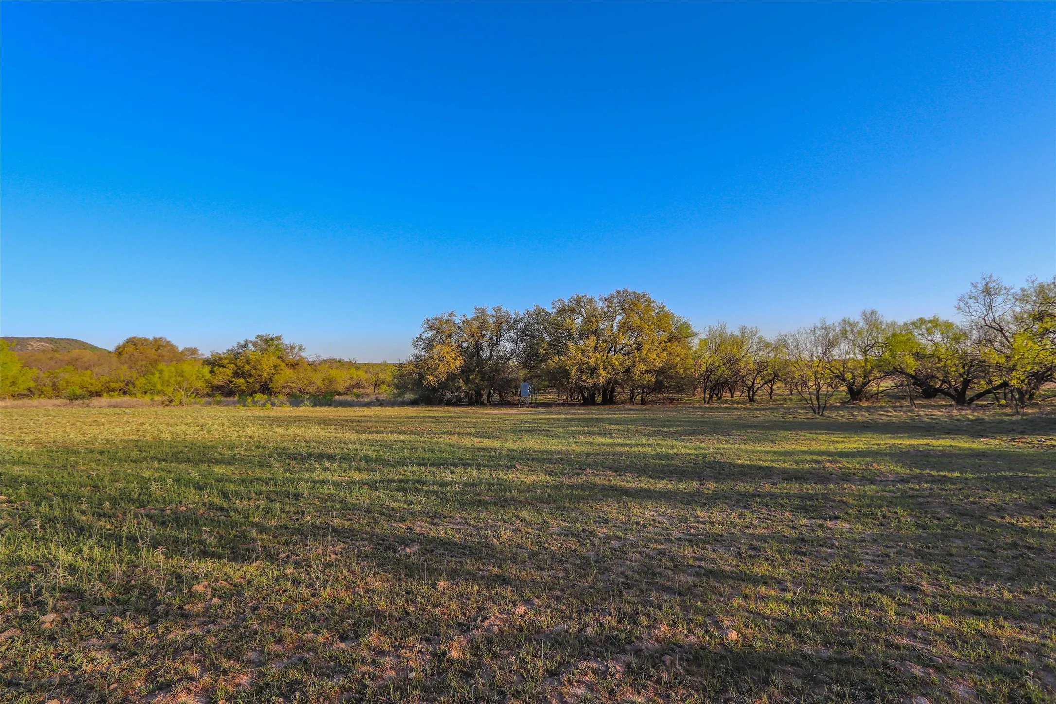 Ranch For Sale in Comanche County , 1952 FM 1689, Comanche, Texas 76442, 0, 0, Garage spaces, 0 Sqft, built in 1998, mls#20919476, Real Estate Agent in Comanche, Homes For Sale in Comanche county, Homes For Sale in Comanche, Realtor in Comanche Texas, Real Estate Brokerage Independent Realty Texas, Luminita Cordes Realtor