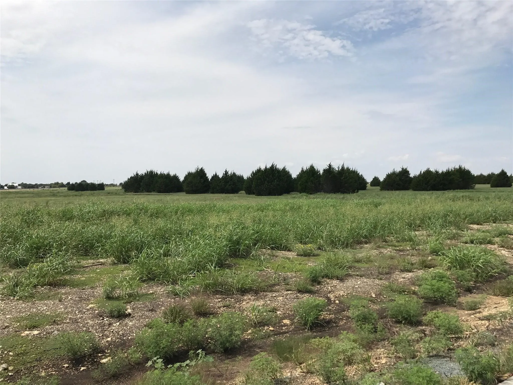 Unimproved Land For Sale in Ellis County , 5220 Bravo Road, Midlothian, Texas 76065, 0, 0, Garage spaces, 0 Sqft, built in 0, mls#20919575, Real Estate Agent in Midlothian, Homes For Sale in Ellis county, Homes For Sale in Midlothian, Realtor in Midlothian Texas, Real Estate Brokerage Independent Realty Texas, Luminita Cordes Realtor