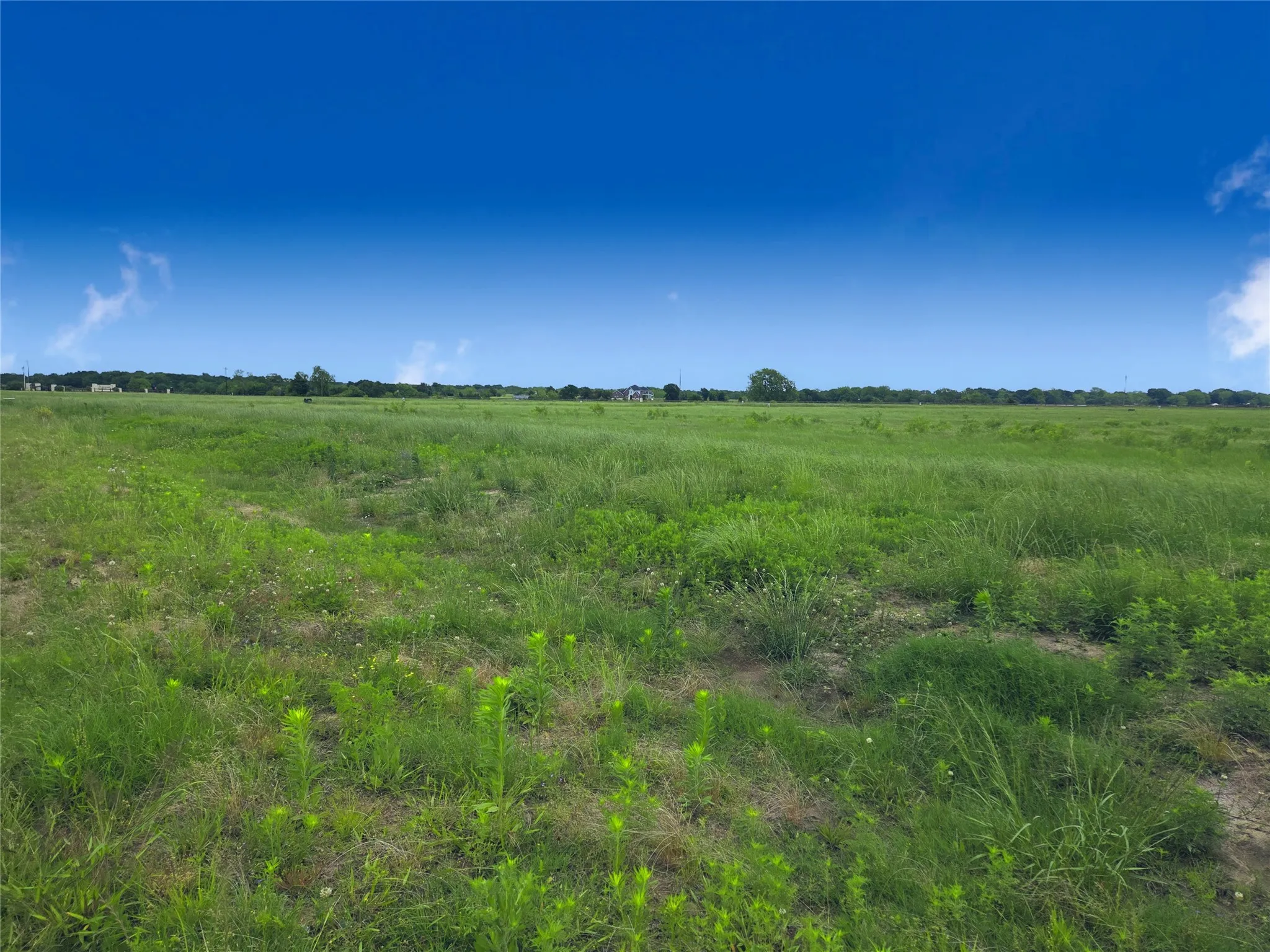 Unimproved Land For Sale in Navarro County , Lot 82 Sunset Boulevard, Corsicana, Texas 75109, 0, 0, Garage spaces, 0 Sqft, built in 0, mls#20918243, Real Estate Agent in Corsicana, Homes For Sale in Navarro county, Homes For Sale in Corsicana, Realtor in Corsicana Texas, Real Estate Brokerage Independent Realty Texas, Luminita Cordes Realtor