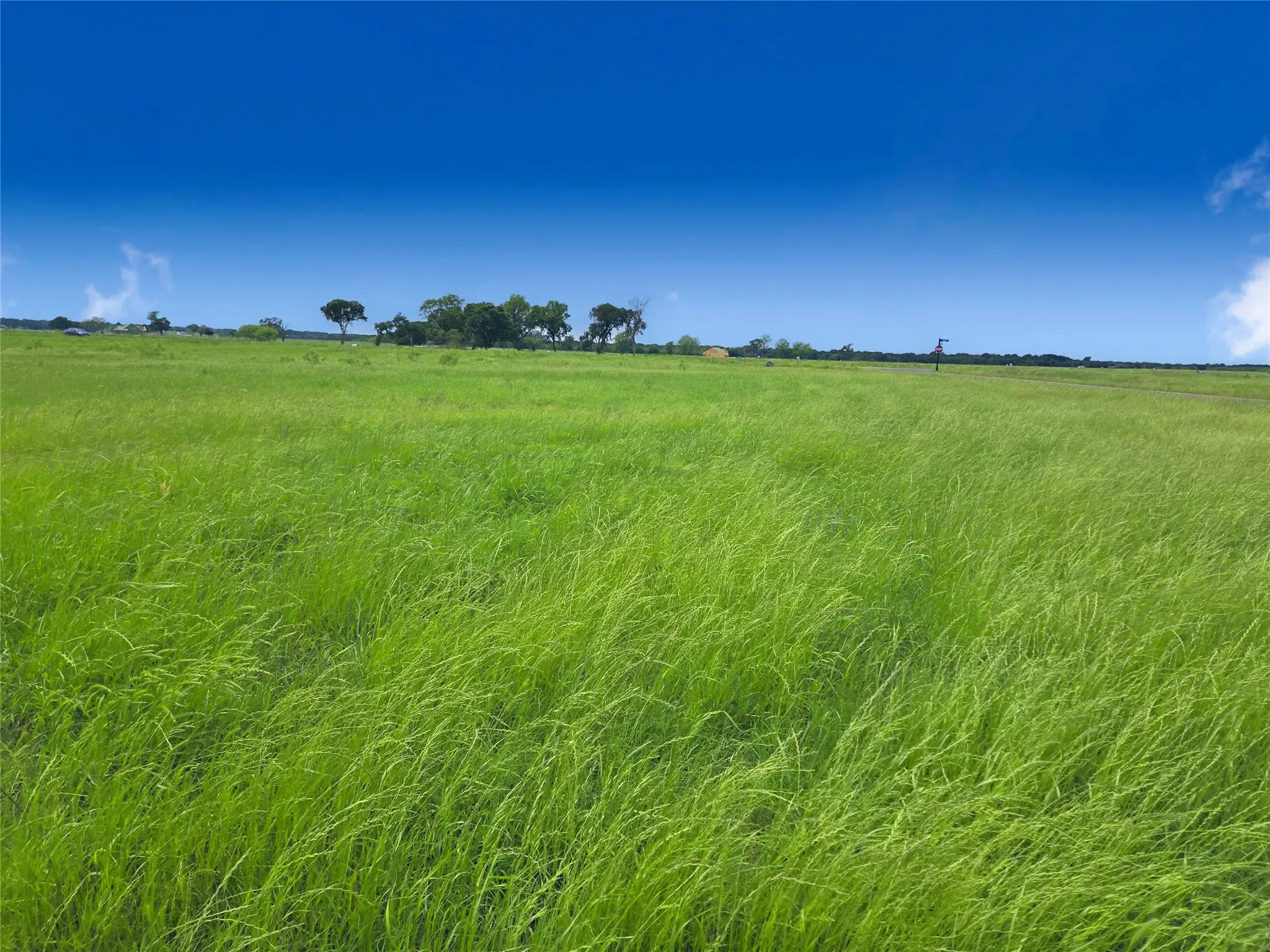Unimproved Land For Sale in Navarro County , Lot 82 Sunset Boulevard, Corsicana, Texas 75109, 0, 0, Garage spaces, 0 Sqft, built in 0, mls#20918243, Real Estate Agent in Corsicana, Homes For Sale in Navarro county, Homes For Sale in Corsicana, Realtor in Corsicana Texas, Real Estate Brokerage Independent Realty Texas, Luminita Cordes Realtor