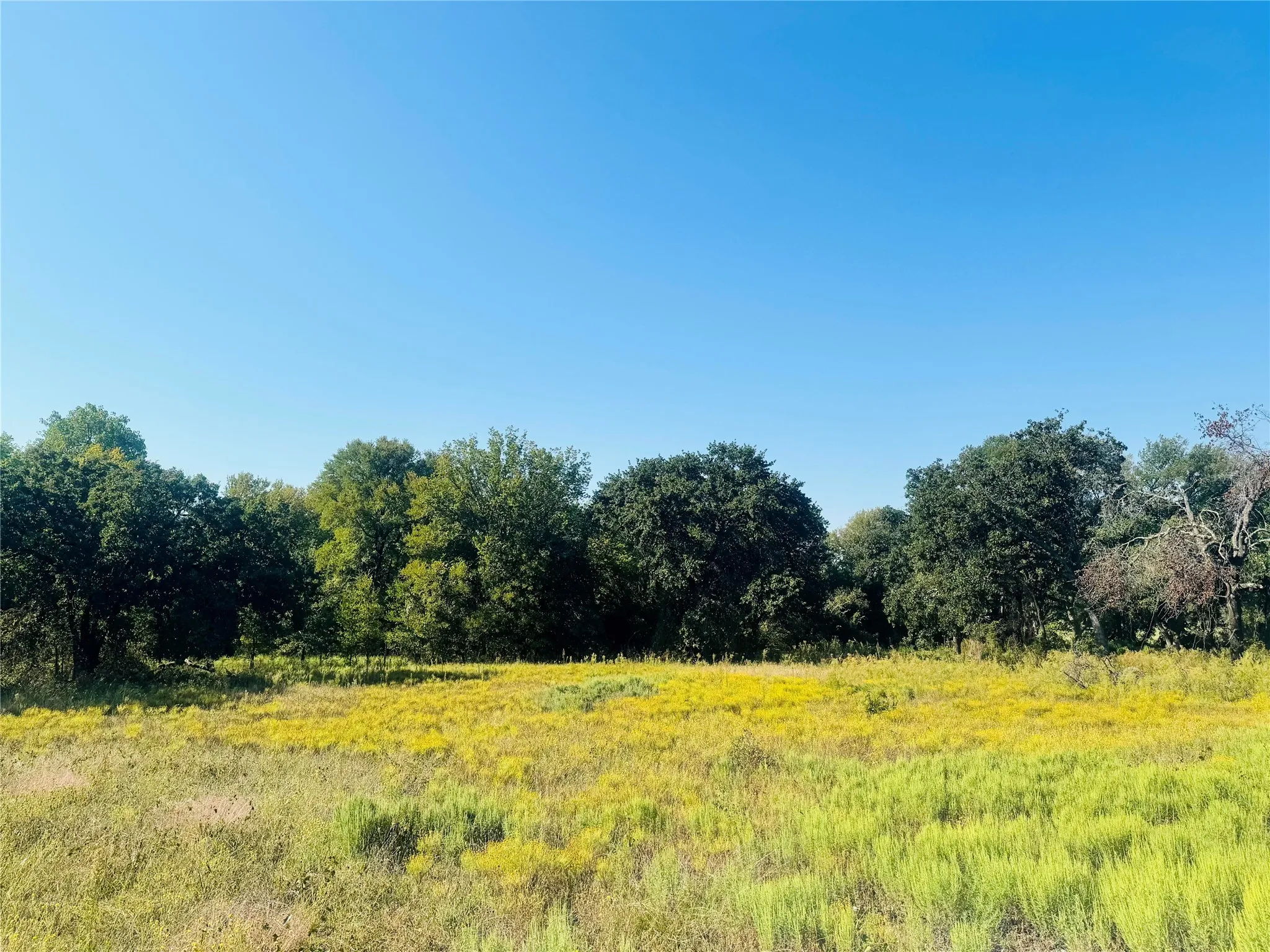 Unimproved Land For Sale in Denton County , TBD Copper Canyon Drive, Copper Canyon, Texas 76226, 0, 0, Garage spaces, 0 Sqft, built in 0, mls#20920207, Real Estate Agent in Copper Canyon, Homes For Sale in Denton county, Homes For Sale in Copper Canyon, Realtor in Copper Canyon Texas, Real Estate Brokerage Independent Realty Texas, Luminita Cordes Realtor