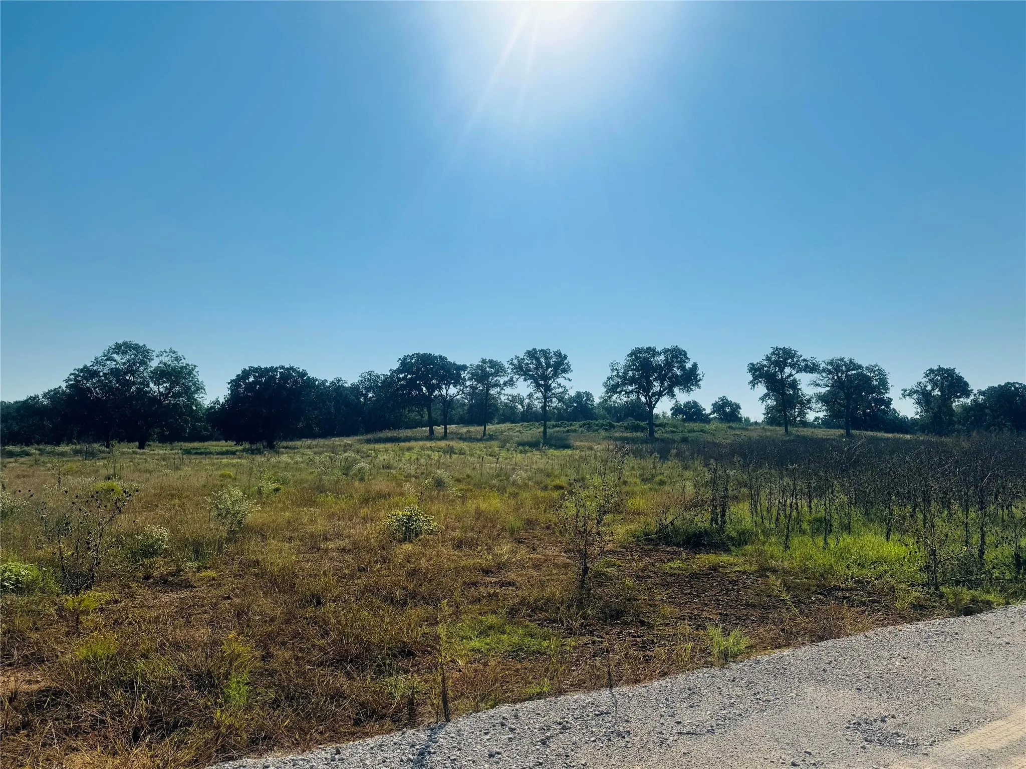 Unimproved Land For Sale in Denton County , TBD Copper Canyon Drive, Copper Canyon, Texas 76226, 0, 0, Garage spaces, 0 Sqft, built in 0, mls#20920207, Real Estate Agent in Copper Canyon, Homes For Sale in Denton county, Homes For Sale in Copper Canyon, Realtor in Copper Canyon Texas, Real Estate Brokerage Independent Realty Texas, Luminita Cordes Realtor