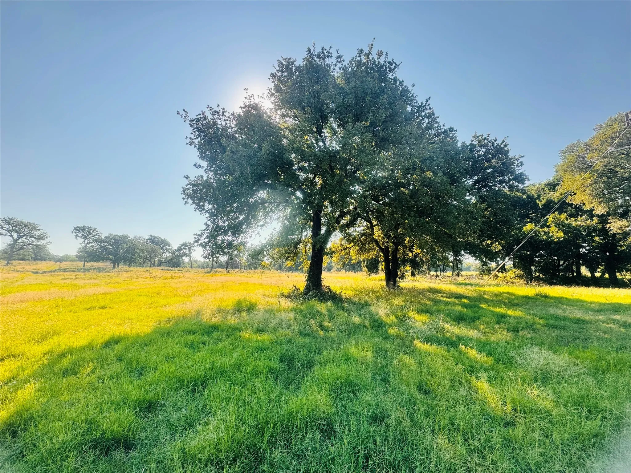 Unimproved Land For Sale in Denton County , TBD Copper Canyon Drive, Copper Canyon, Texas 76226, 0, 0, Garage spaces, 0 Sqft, built in 0, mls#20920207, Real Estate Agent in Copper Canyon, Homes For Sale in Denton county, Homes For Sale in Copper Canyon, Realtor in Copper Canyon Texas, Real Estate Brokerage Independent Realty Texas, Luminita Cordes Realtor