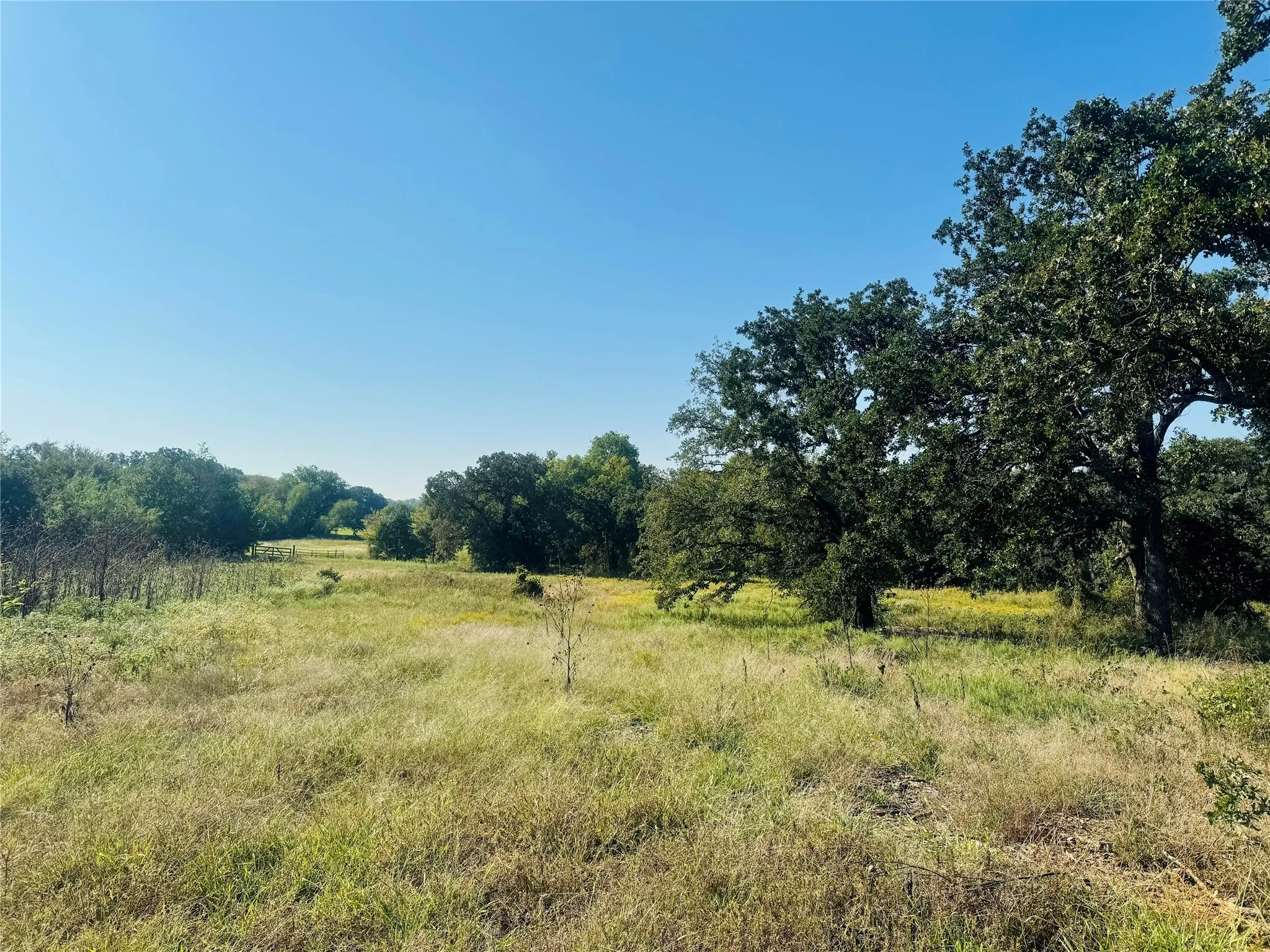 Unimproved Land For Sale in Denton County , TBD Copper Canyon Drive, Copper Canyon, Texas 76226, 0, 0, Garage spaces, 0 Sqft, built in 0, mls#20920207, Real Estate Agent in Copper Canyon, Homes For Sale in Denton county, Homes For Sale in Copper Canyon, Realtor in Copper Canyon Texas, Real Estate Brokerage Independent Realty Texas, Luminita Cordes Realtor