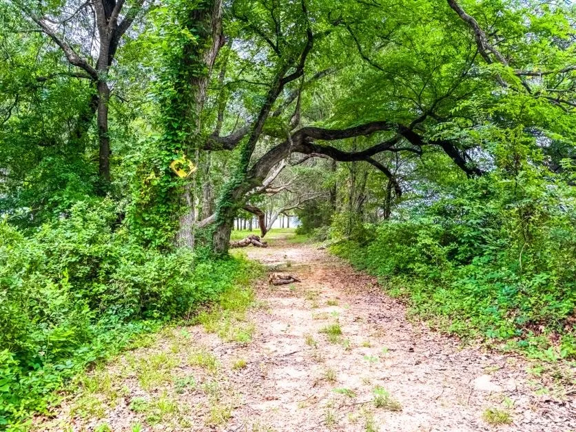 Mobile Home For Sale in Limestone County , TBD County Road 891, Jewett, Texas 75846, 1 Bedroom, 1 Bathroom, Garage spaces, 736 Sqft, built in 2020, mls#20920254, Real Estate Agent in Jewett, Homes For Sale in Limestone county, Homes For Sale in Jewett, Realtor in Jewett Texas, Real Estate Brokerage Independent Realty Texas, Luminita Cordes Realtor