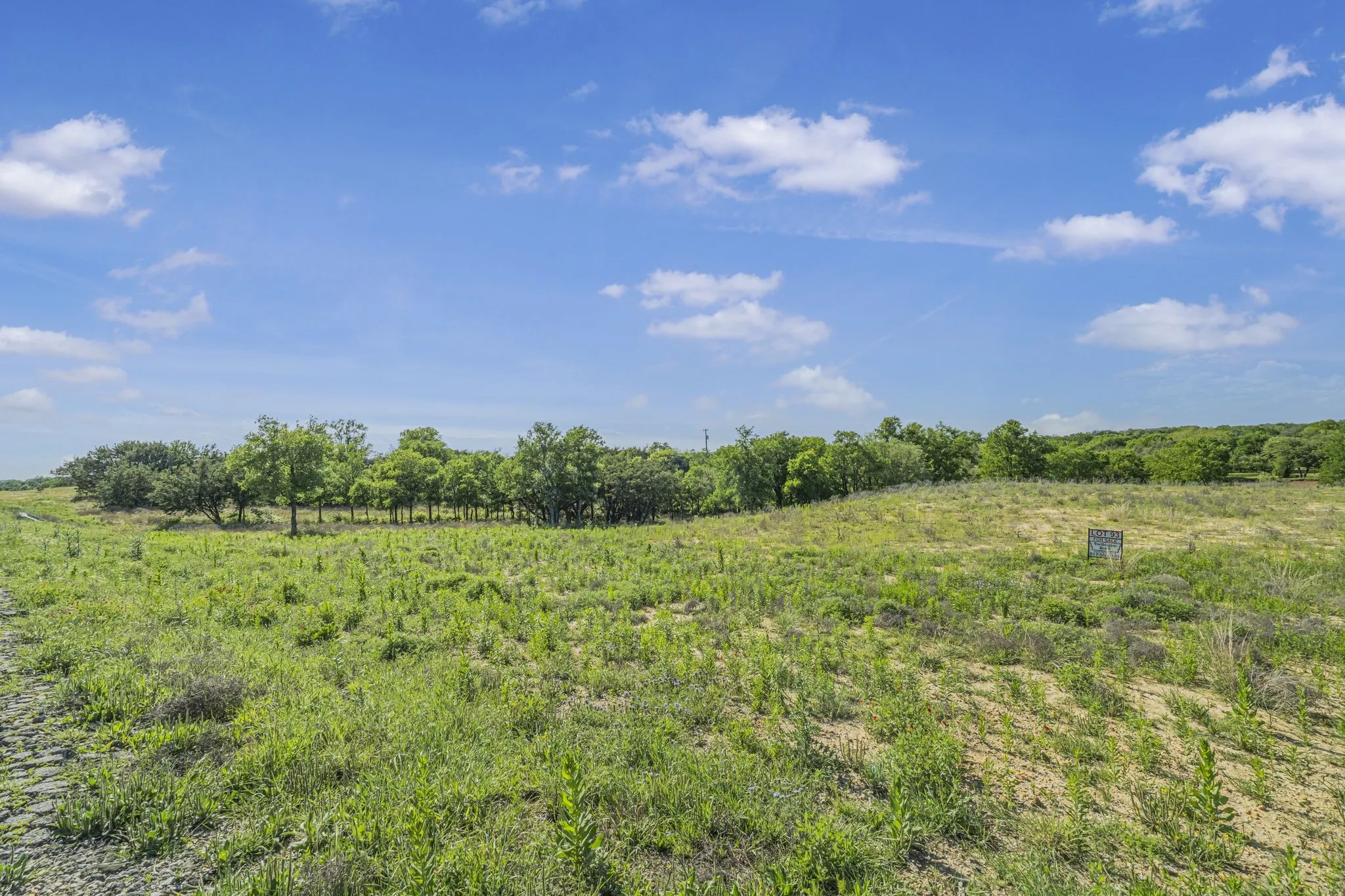 View of local wilderness featuring a rural view