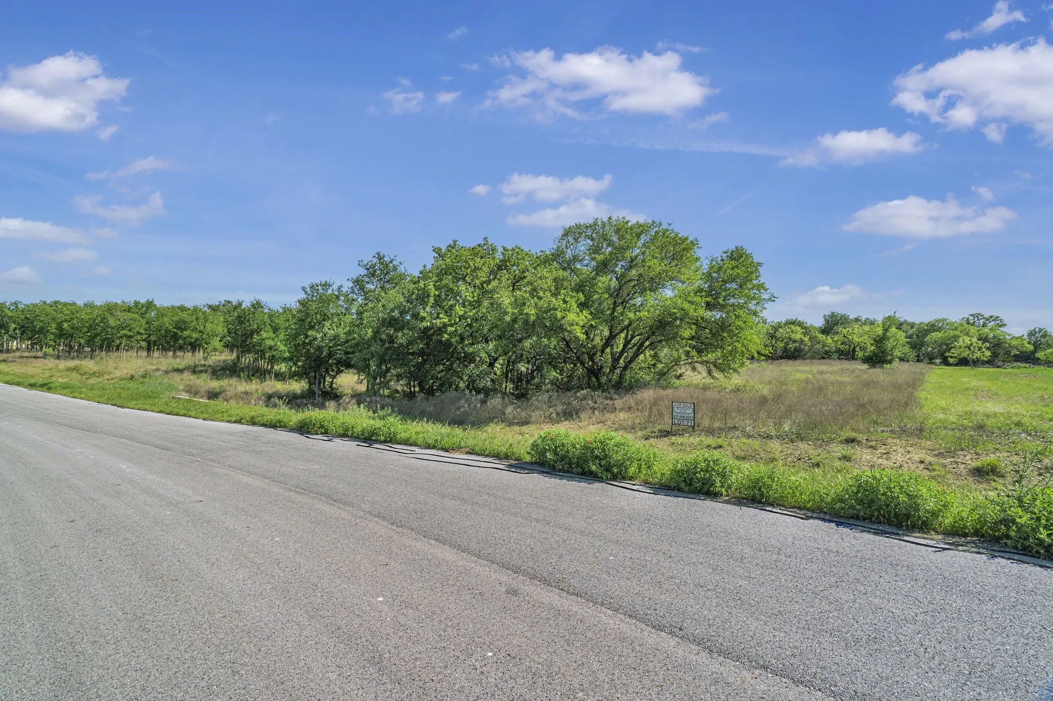 View of road