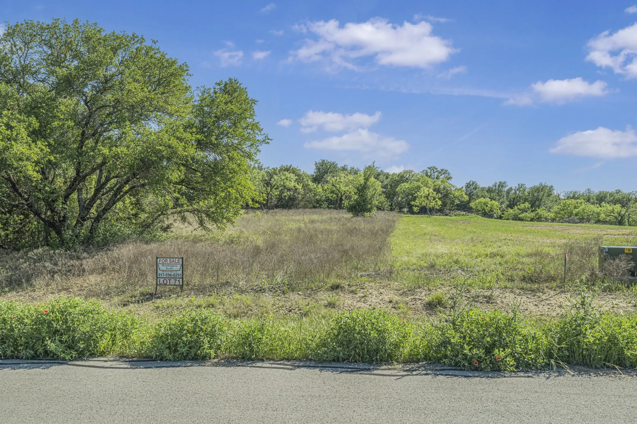 View of nature