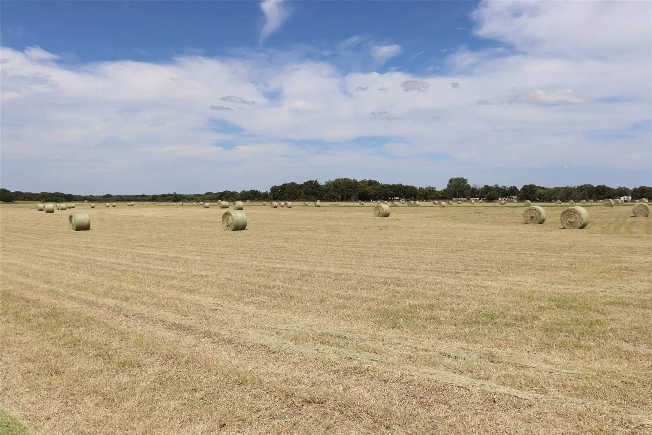 Improved Land For Sale in Comanche County , 1952 County Road 103, Comanche, Texas 76442, 0, 0, Garage spaces, 0 Sqft, built in 0, mls#20921122, Real Estate Agent in Comanche, Homes For Sale in Comanche county, Homes For Sale in Comanche, Realtor in Comanche Texas, Real Estate Brokerage Independent Realty Texas, Luminita Cordes Realtor