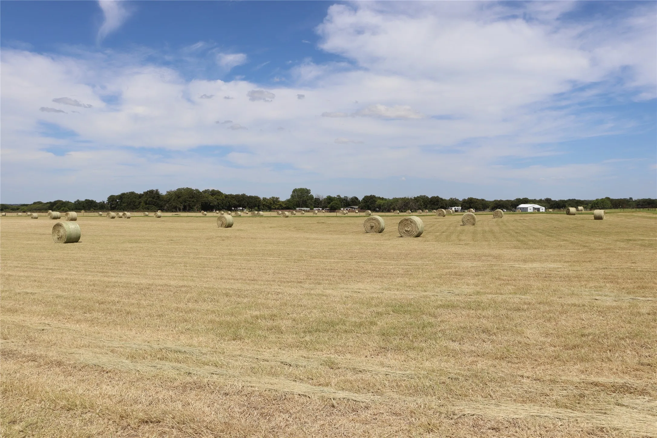 Improved Land For Sale in Comanche County , 1952 County Road 103, Comanche, Texas 76442, 0, 0, Garage spaces, 0 Sqft, built in 0, mls#20921122, Real Estate Agent in Comanche, Homes For Sale in Comanche county, Homes For Sale in Comanche, Realtor in Comanche Texas, Real Estate Brokerage Independent Realty Texas, Luminita Cordes Realtor