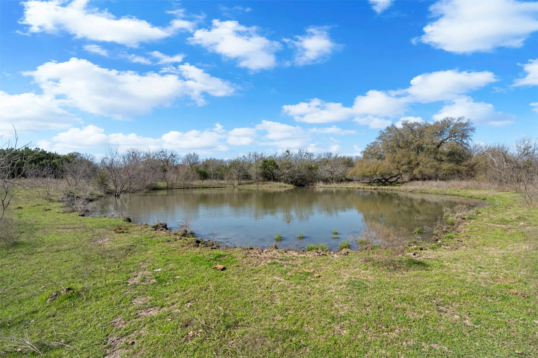 Unimproved Land For Sale in Hood County , 4363 Acton Highway, Granbury, Texas 76049, 0, 0, Garage spaces, 0 Sqft, built in 0, mls#20887481, Real Estate Agent in Granbury, Homes For Sale in Hood county, Homes For Sale in Granbury, Realtor in Granbury Texas, Real Estate Brokerage Independent Realty Texas, Luminita Cordes Realtor