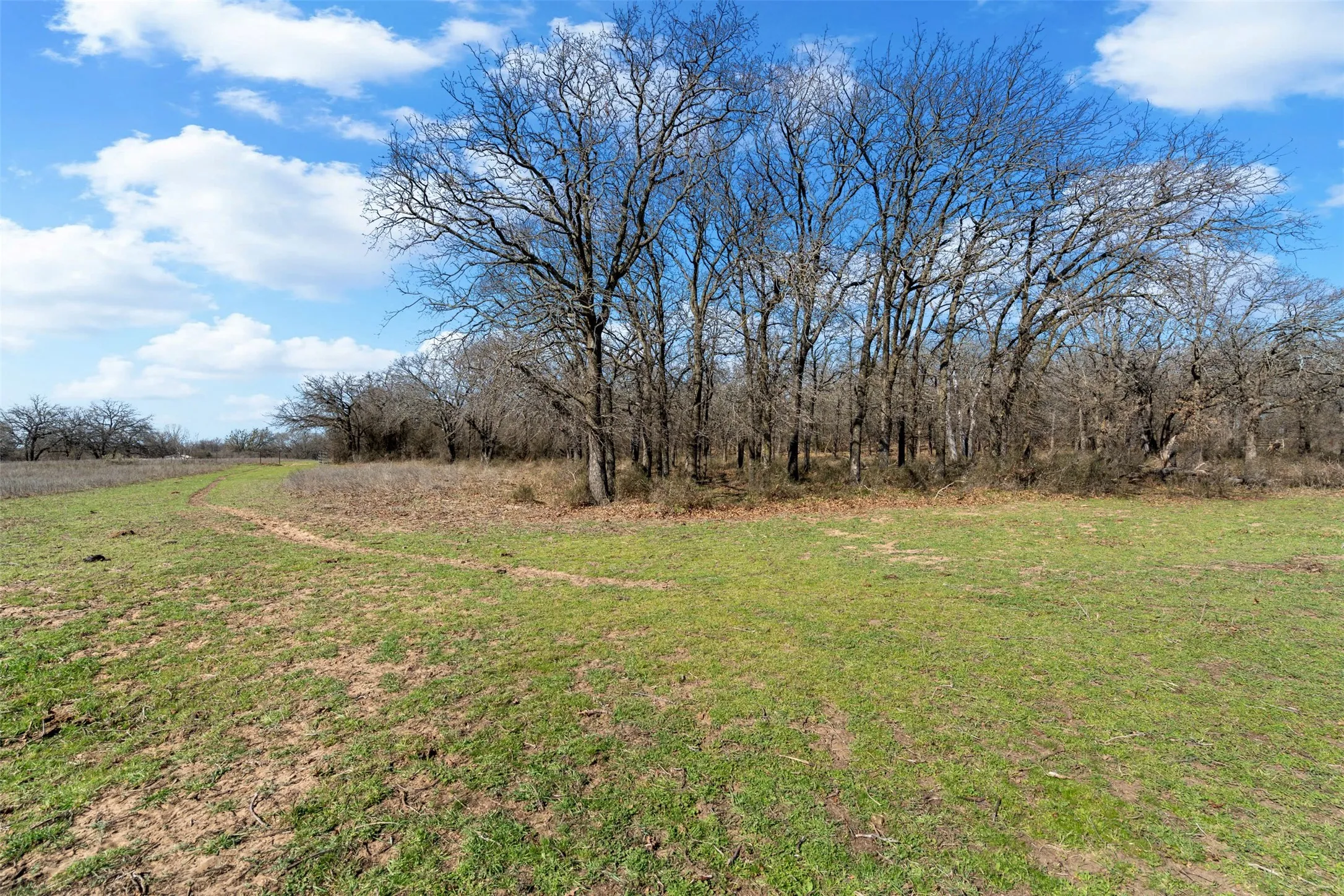 Unimproved Land For Sale in Hood County , 4363 Acton Highway, Granbury, Texas 76049, 0, 0, Garage spaces, 0 Sqft, built in 0, mls#20887481, Real Estate Agent in Granbury, Homes For Sale in Hood county, Homes For Sale in Granbury, Realtor in Granbury Texas, Real Estate Brokerage Independent Realty Texas, Luminita Cordes Realtor