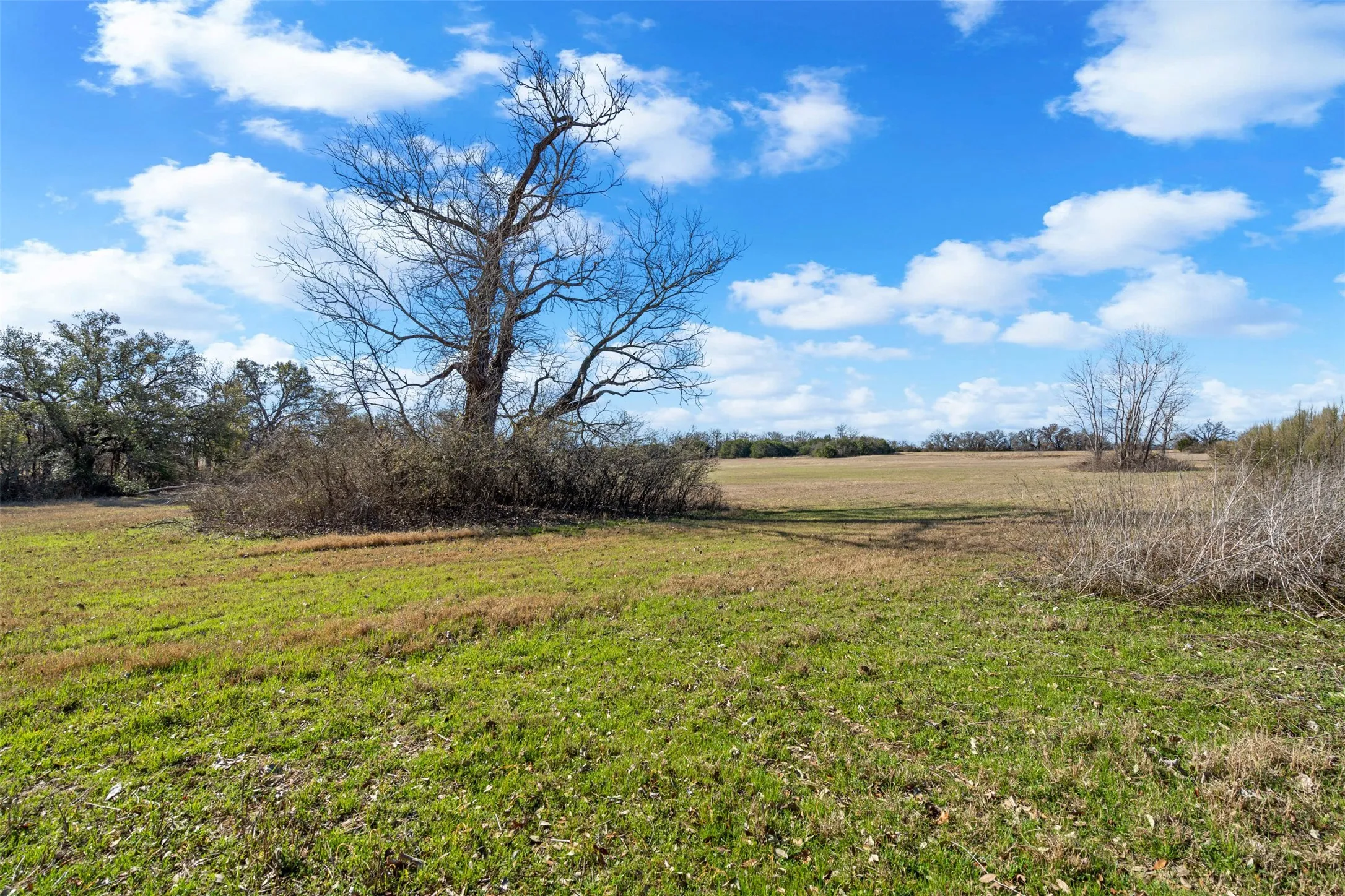 Unimproved Land For Sale in Hood County , 4363 Acton Highway, Granbury, Texas 76049, 0, 0, Garage spaces, 0 Sqft, built in 0, mls#20887481, Real Estate Agent in Granbury, Homes For Sale in Hood county, Homes For Sale in Granbury, Realtor in Granbury Texas, Real Estate Brokerage Independent Realty Texas, Luminita Cordes Realtor