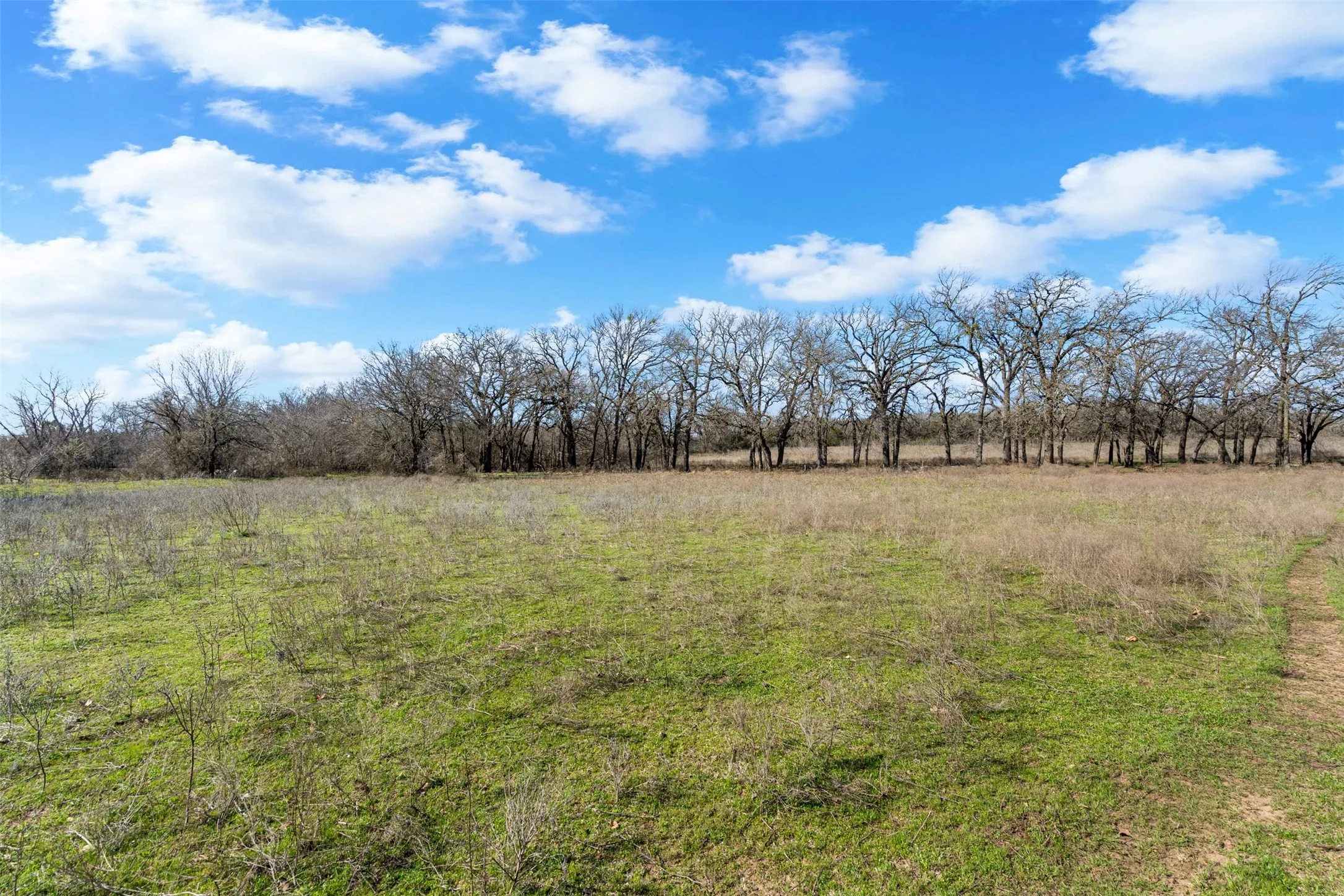 Unimproved Land For Sale in Hood County , 4363 Acton Highway, Granbury, Texas 76049, 0, 0, Garage spaces, 0 Sqft, built in 0, mls#20887481, Real Estate Agent in Granbury, Homes For Sale in Hood county, Homes For Sale in Granbury, Realtor in Granbury Texas, Real Estate Brokerage Independent Realty Texas, Luminita Cordes Realtor