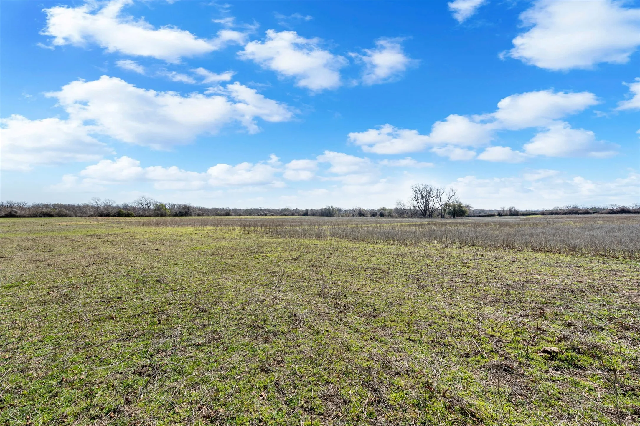 Unimproved Land For Sale in Hood County , 4363 Acton Highway, Granbury, Texas 76049, 0, 0, Garage spaces, 0 Sqft, built in 0, mls#20887481, Real Estate Agent in Granbury, Homes For Sale in Hood county, Homes For Sale in Granbury, Realtor in Granbury Texas, Real Estate Brokerage Independent Realty Texas, Luminita Cordes Realtor