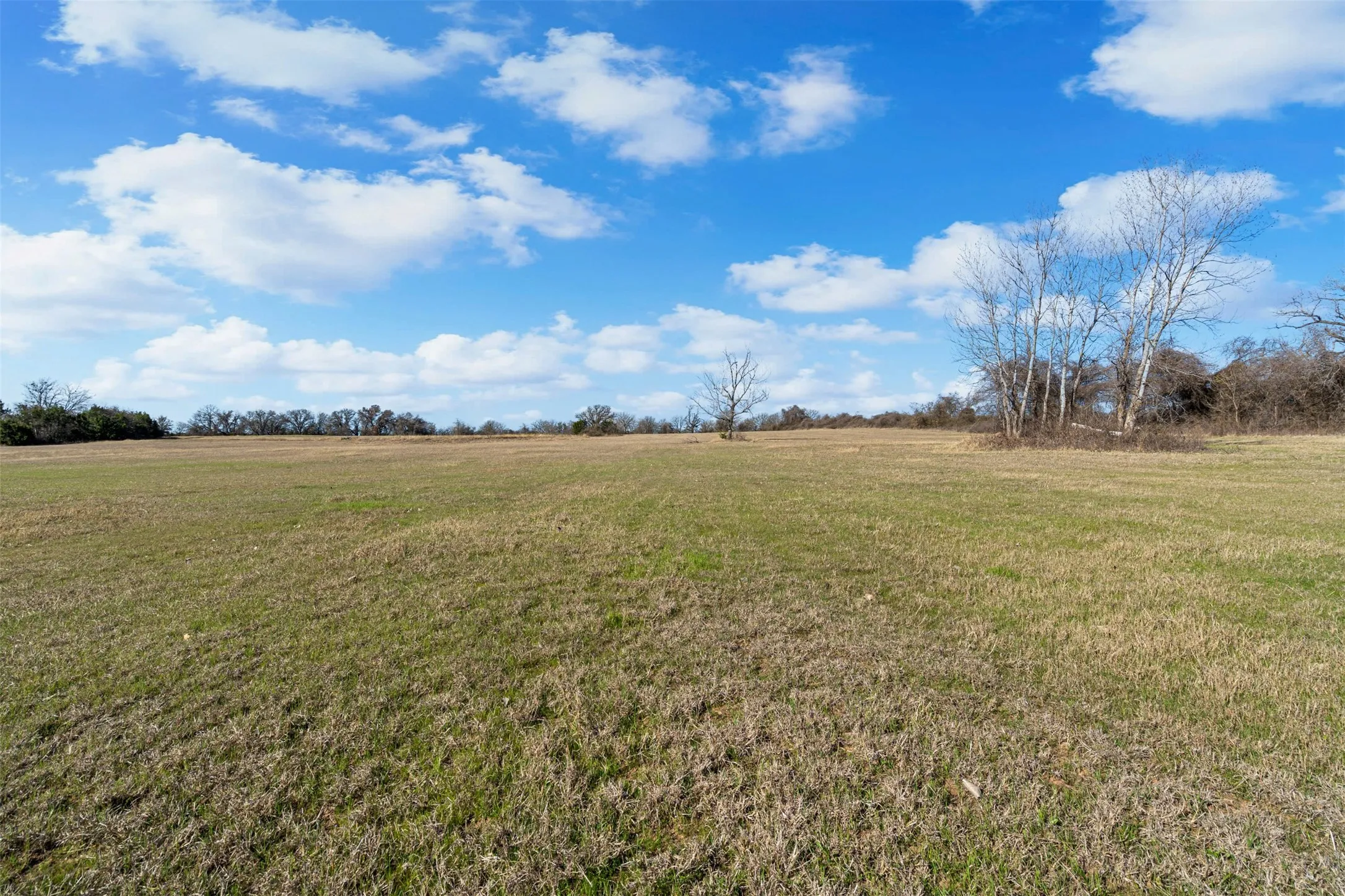 Unimproved Land For Sale in Hood County , 4363 Acton Highway, Granbury, Texas 76049, 0, 0, Garage spaces, 0 Sqft, built in 0, mls#20887481, Real Estate Agent in Granbury, Homes For Sale in Hood county, Homes For Sale in Granbury, Realtor in Granbury Texas, Real Estate Brokerage Independent Realty Texas, Luminita Cordes Realtor