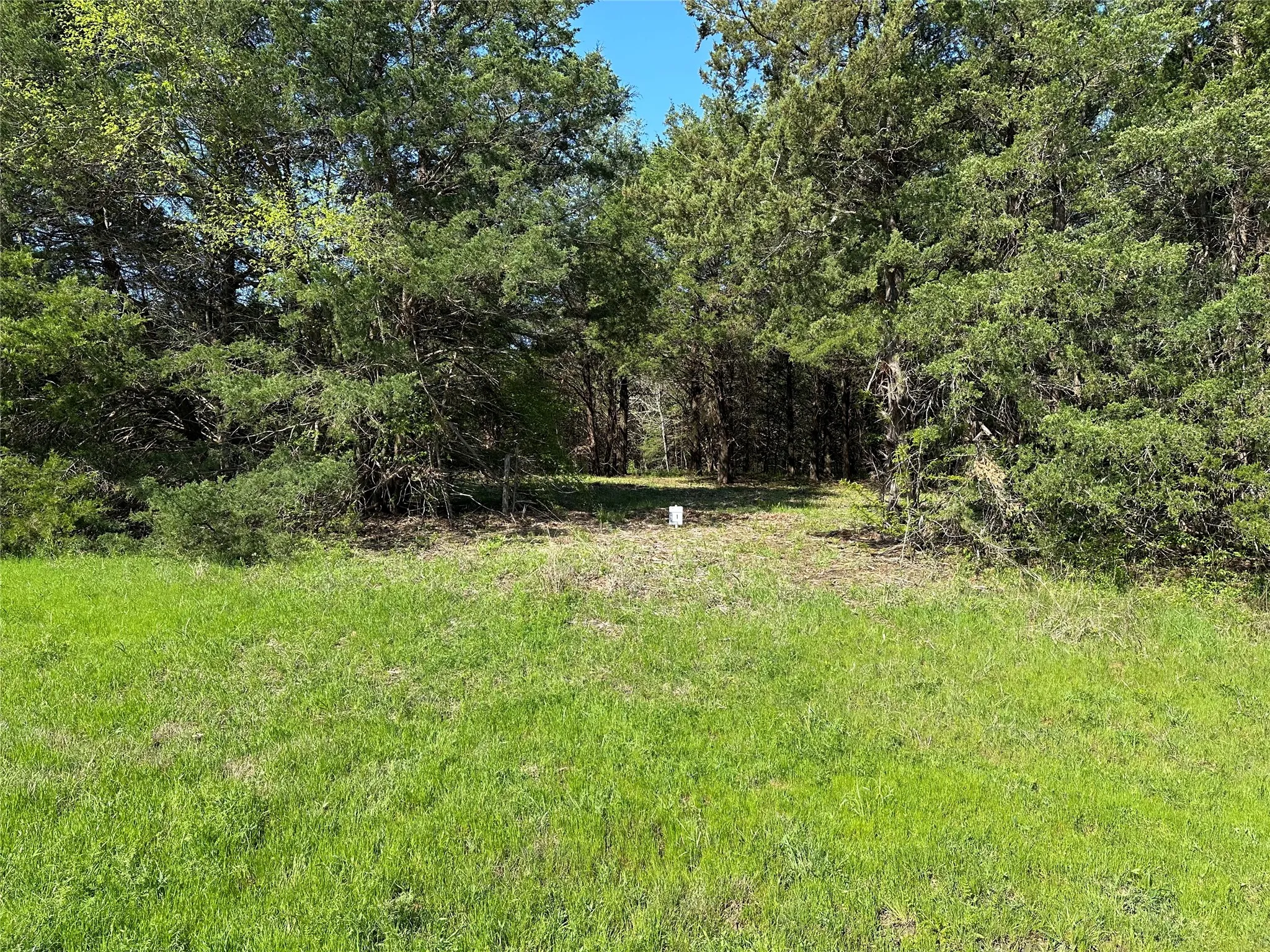 View of yard featuring a wooded view