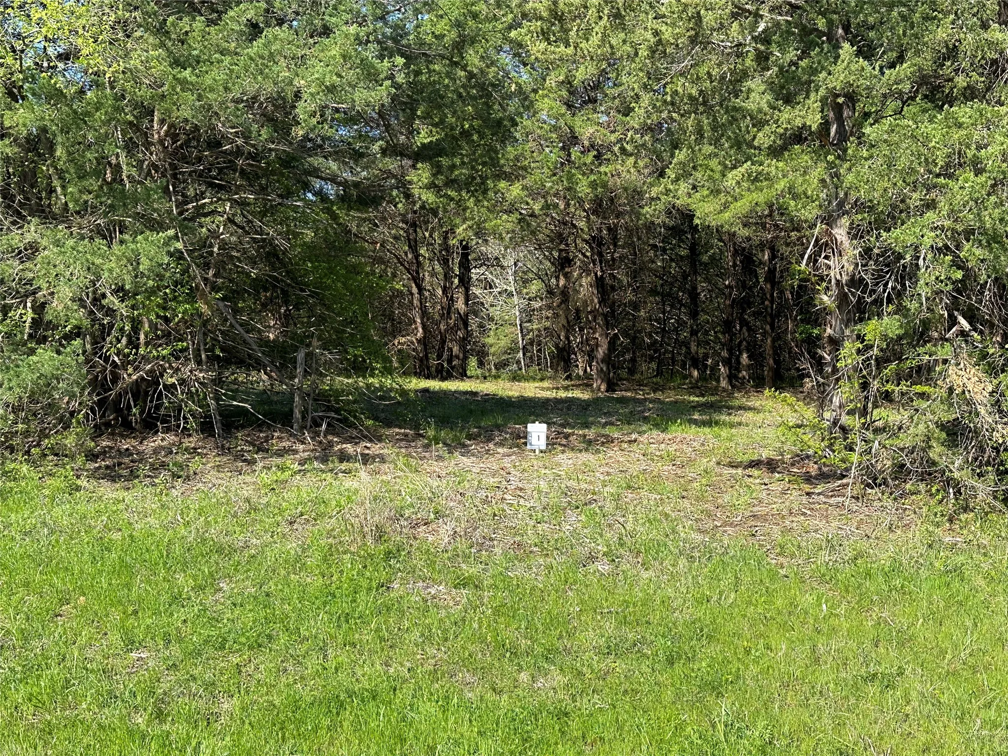 View of yard with a wooded view
