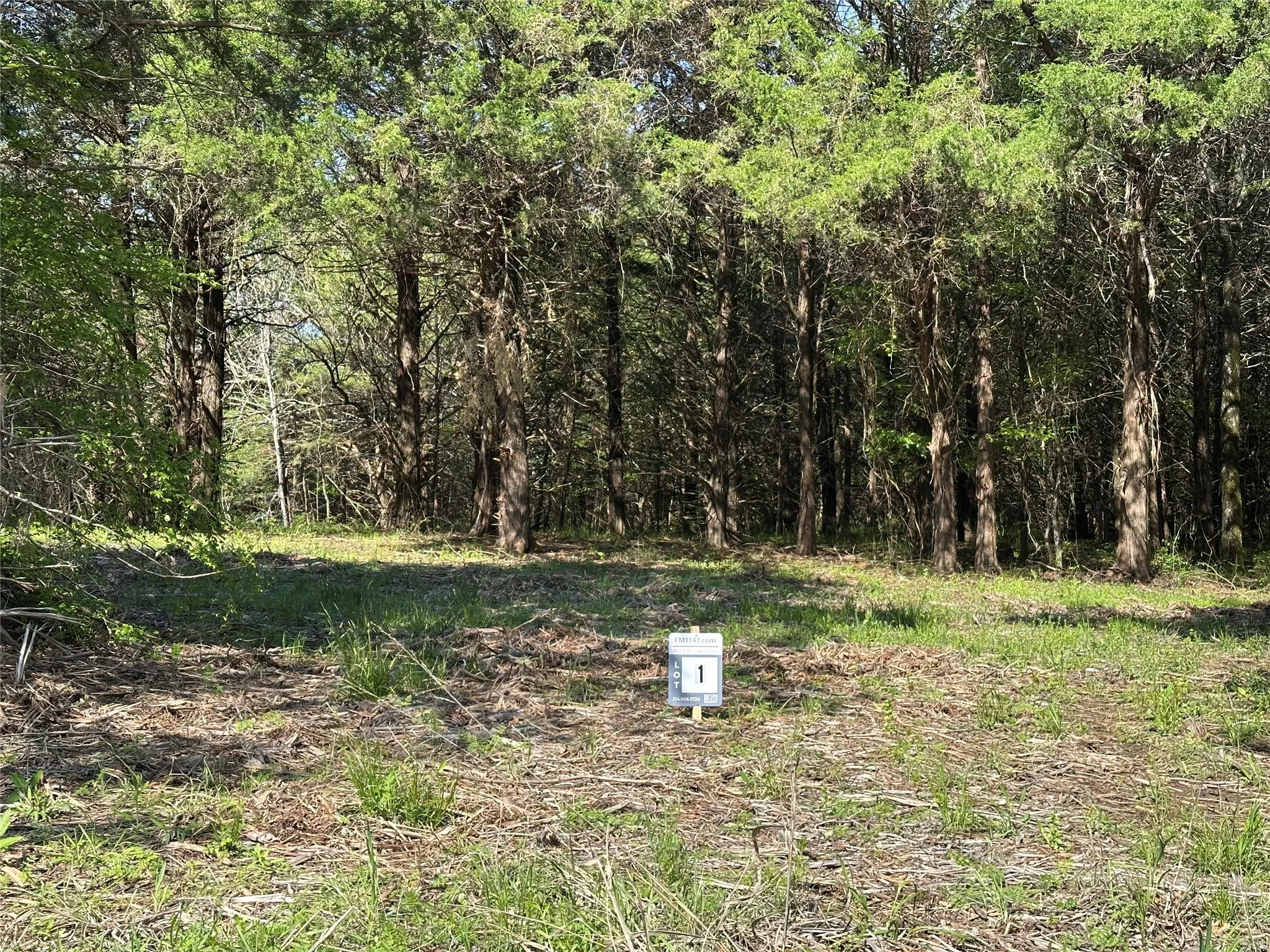 View of local wilderness