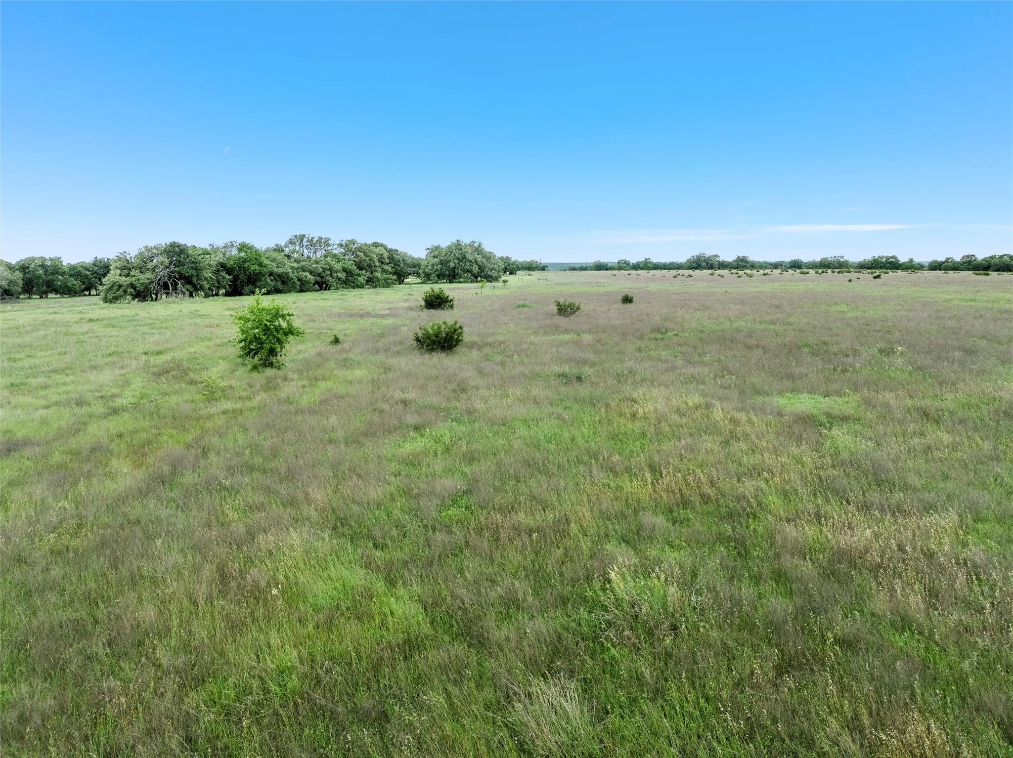 View of local wilderness with a rural view