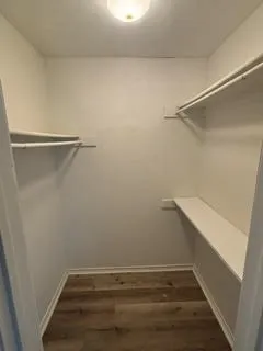 Walk-in closet featuring wood-finish flooring, white walls, and built-in shelving