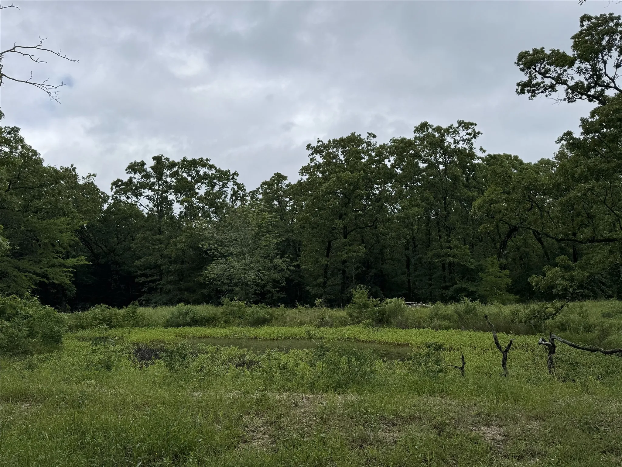 View of landscape with a wooded view