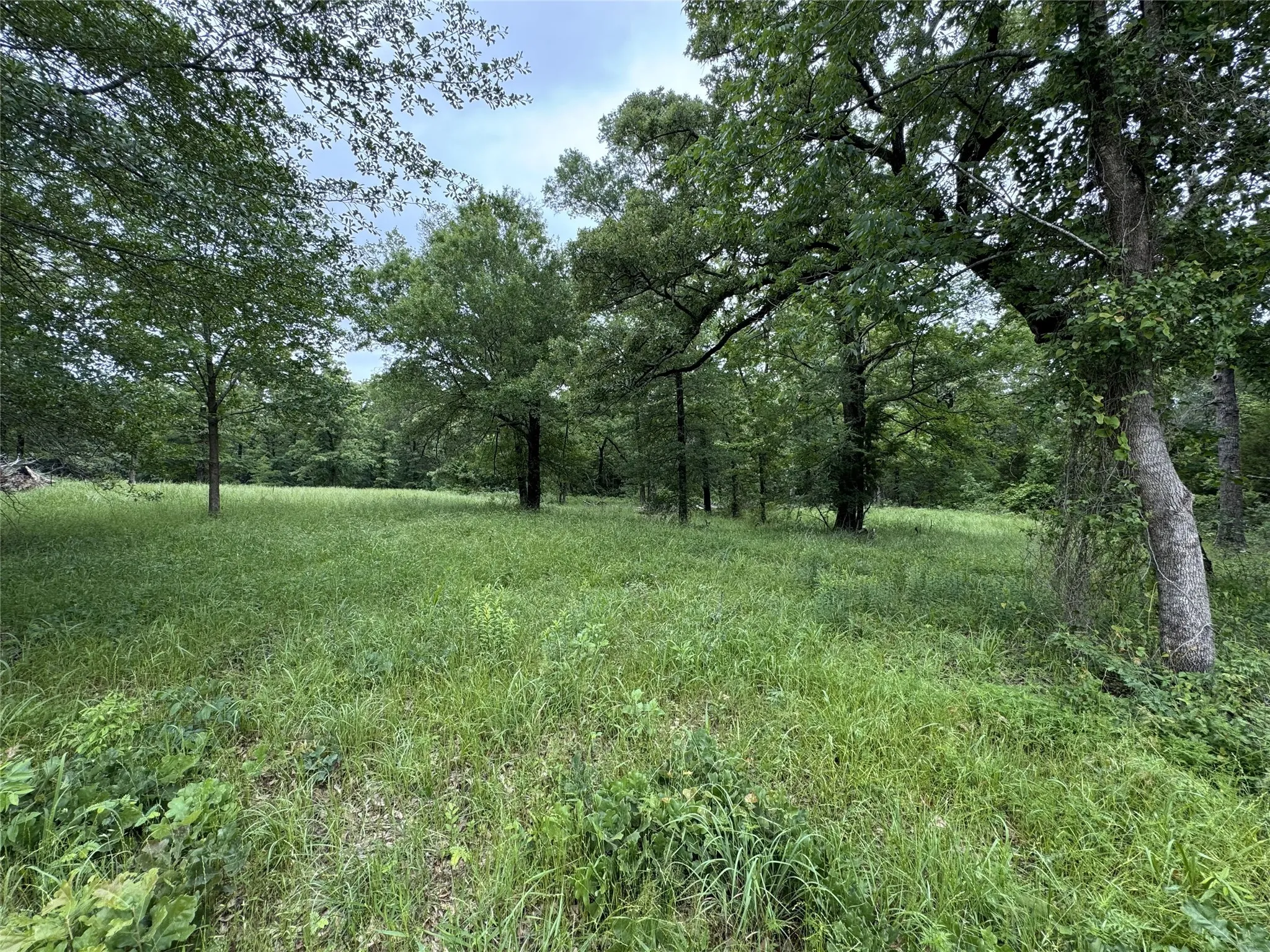 Unimproved Land For Sale in Rains County , TBD Rs County Road 3360, Emory, Texas 75440, 0, 0, Garage spaces, 0 Sqft, built in 0, mls#20922829, Real Estate Agent in Emory, Homes For Sale in Rains county, Homes For Sale in Emory, Realtor in Emory Texas, Real Estate Brokerage Independent Realty Texas, Luminita Cordes Realtor