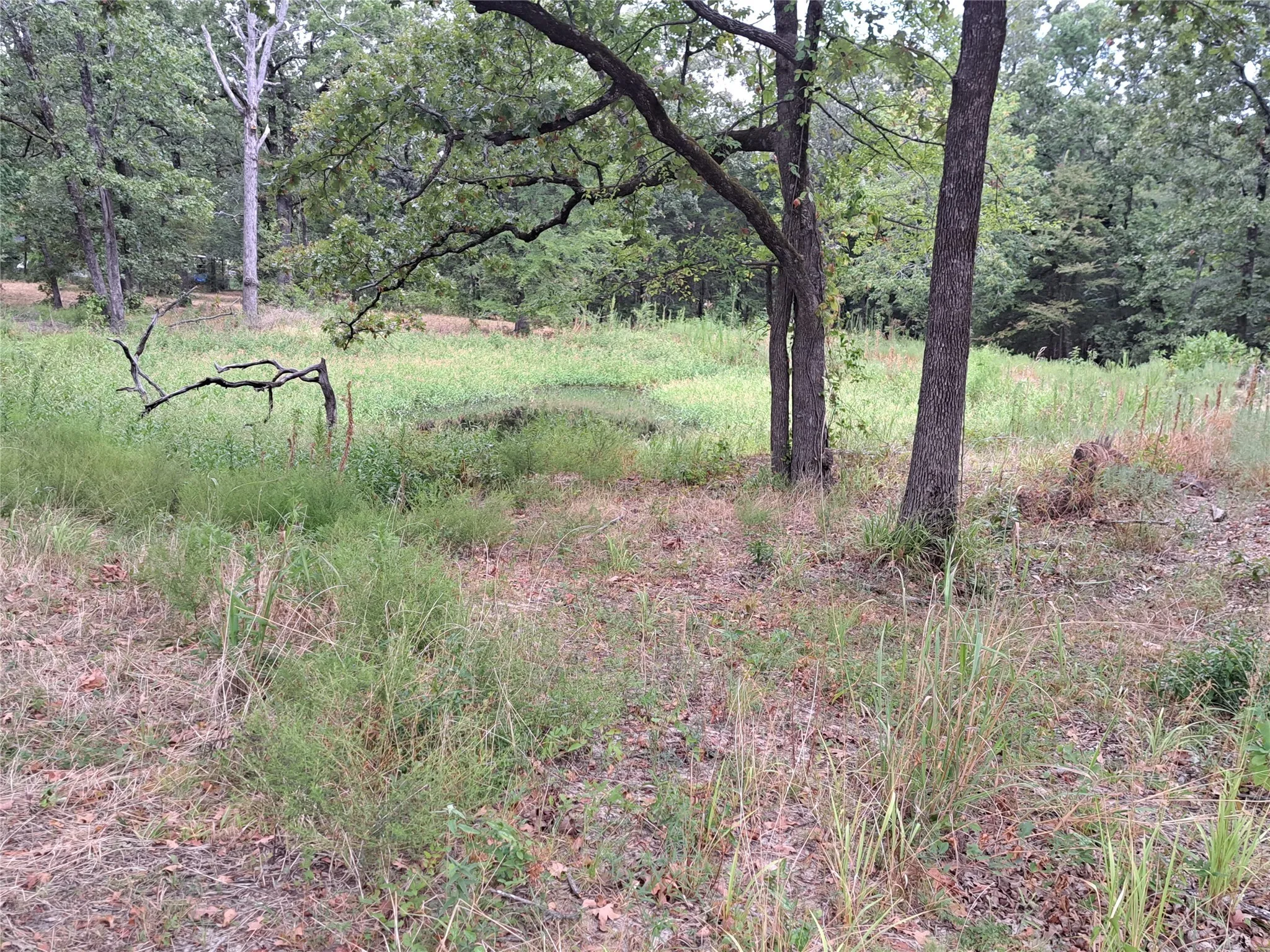 View of landscape with a wooded view