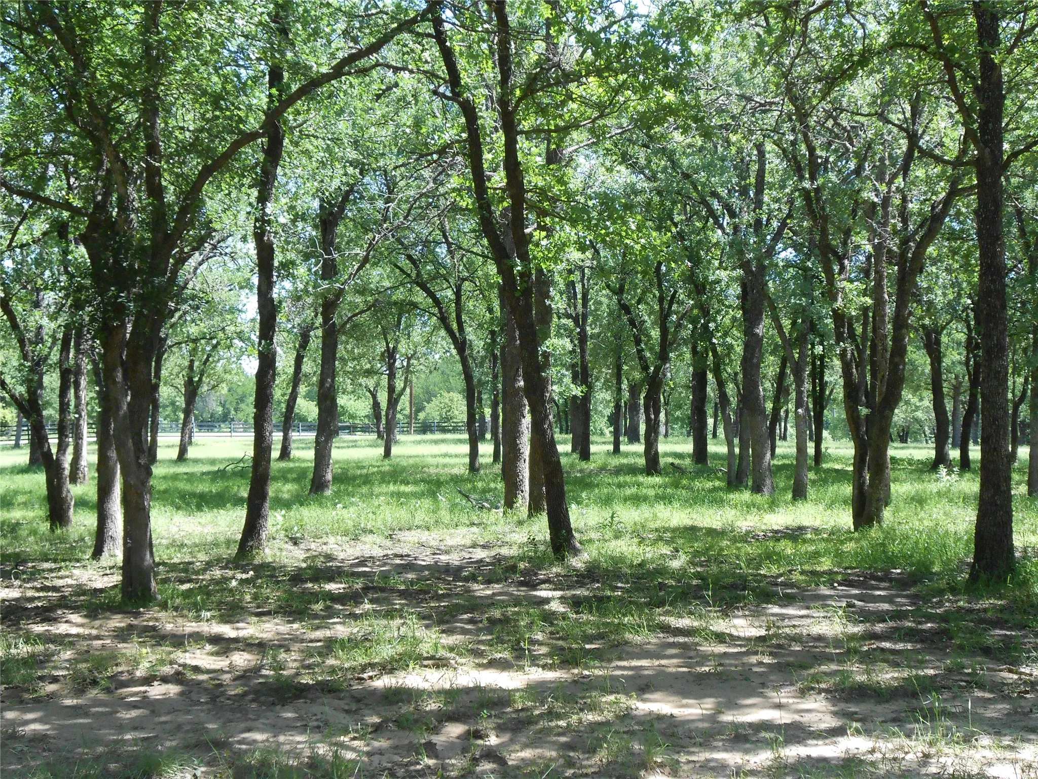 View of nature