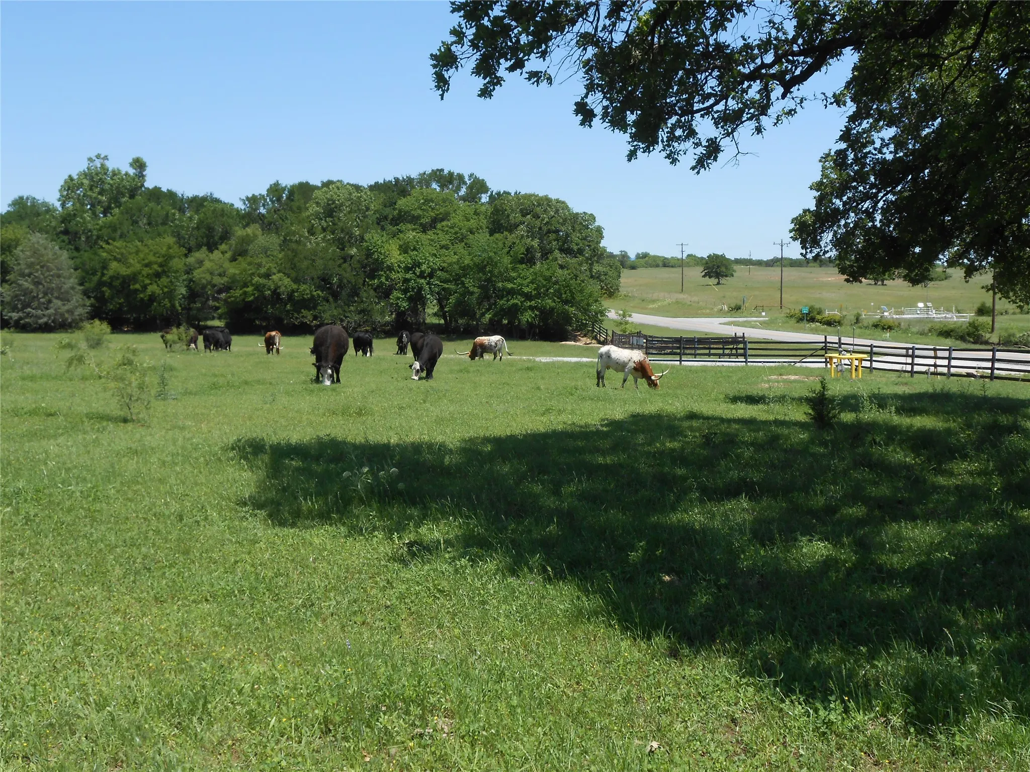 View of yard featuring a rural view and fence