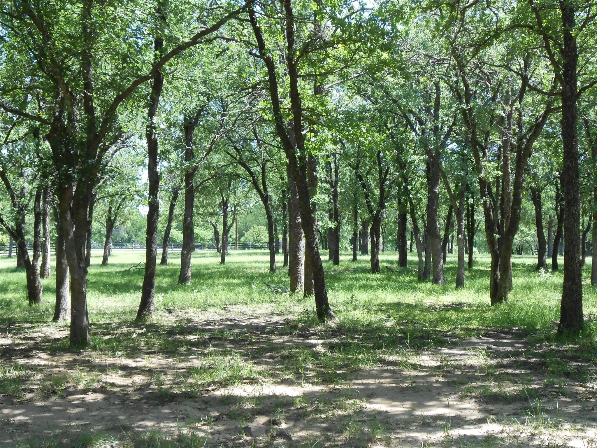 View of nature