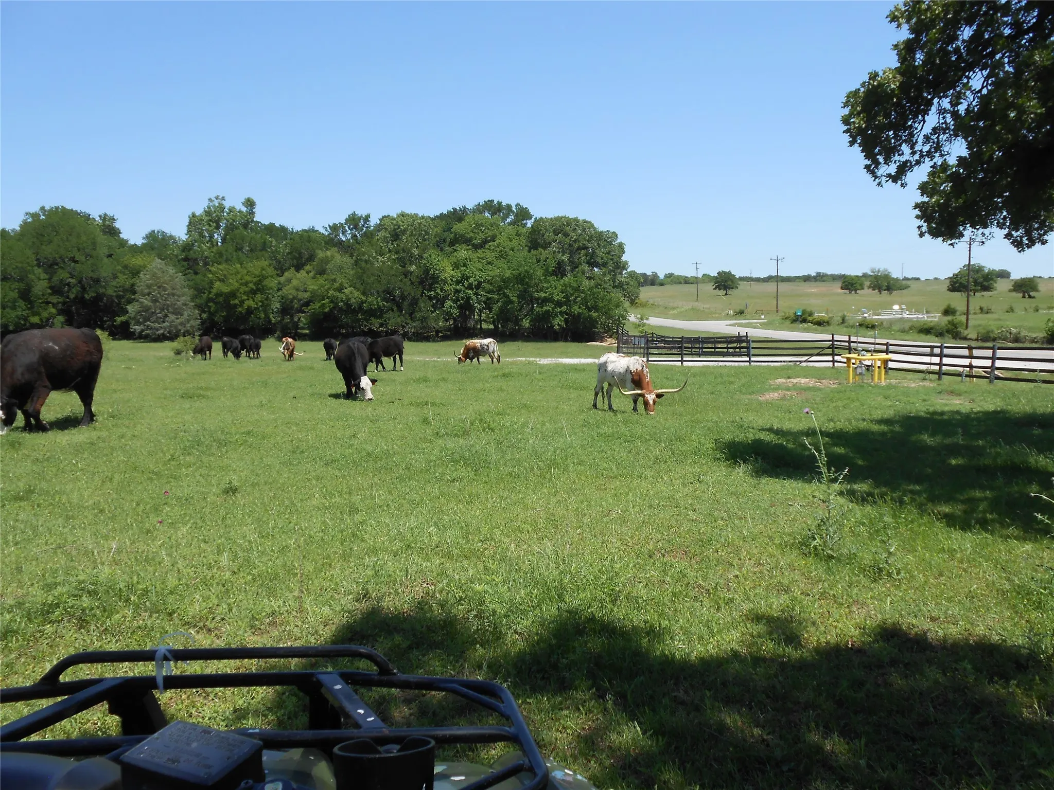 View of yard with a rural view