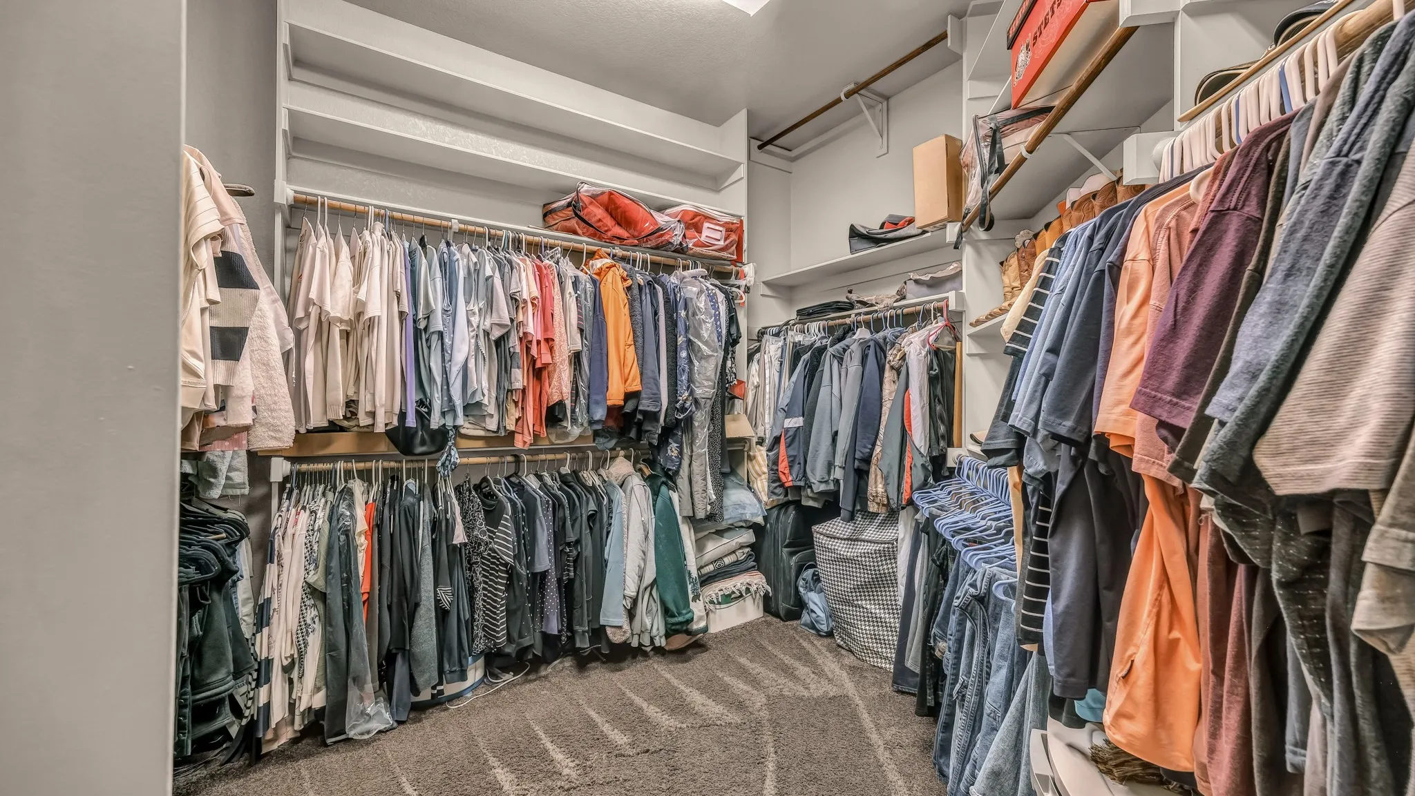 Spacious closet featuring carpet