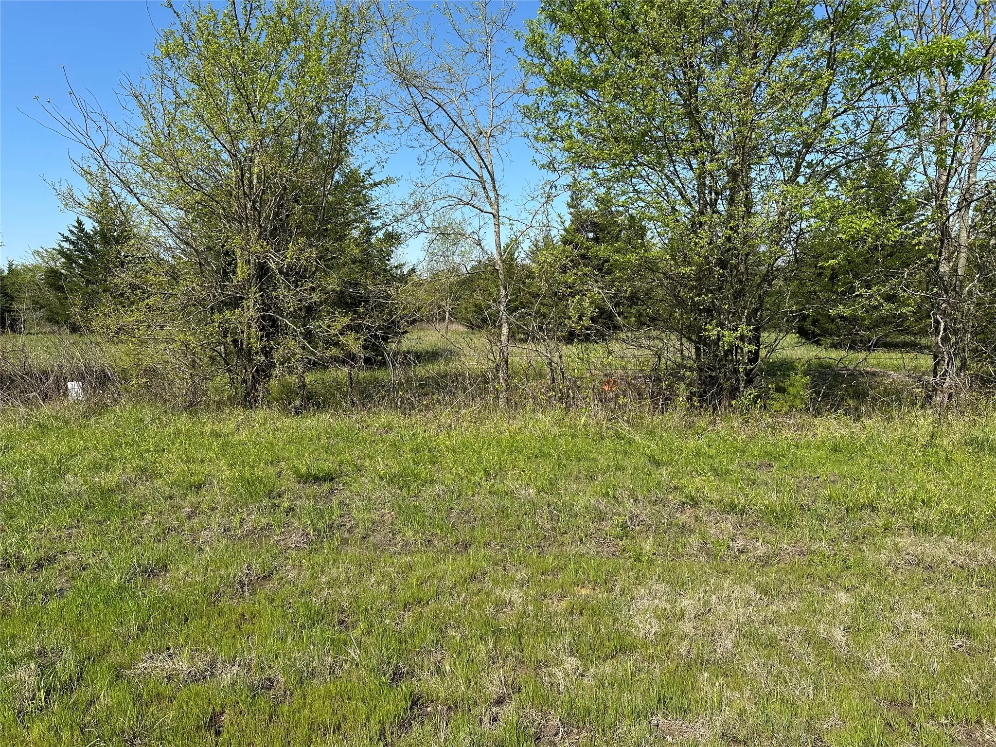 View of landscape