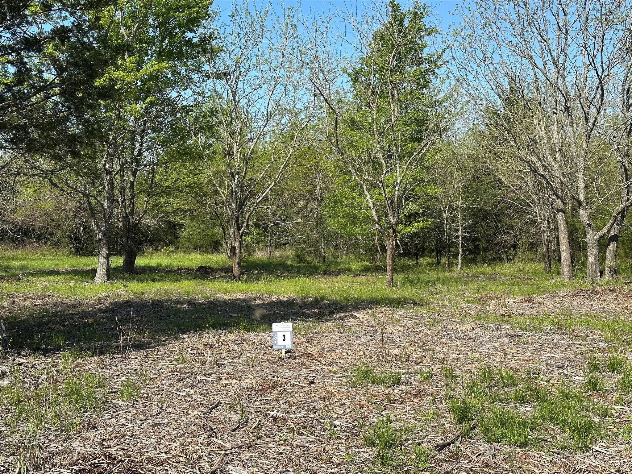 Unimproved Land For Sale in Fannin County , Tract 3 Farm to Market 1743, Honey Grove, Texas 75446, 0, 0, Garage spaces, 0 Sqft, built in 0, Price $160,000, mls#20924296, Real Estate Agent in Honey Grove, Homes For Sale in Fannin county, Homes For Sale in Honey Grove, Realtor in Honey Grove Texas, Real Estate Brokerage Independent Realty Texas, Luminita Cordes Realtor