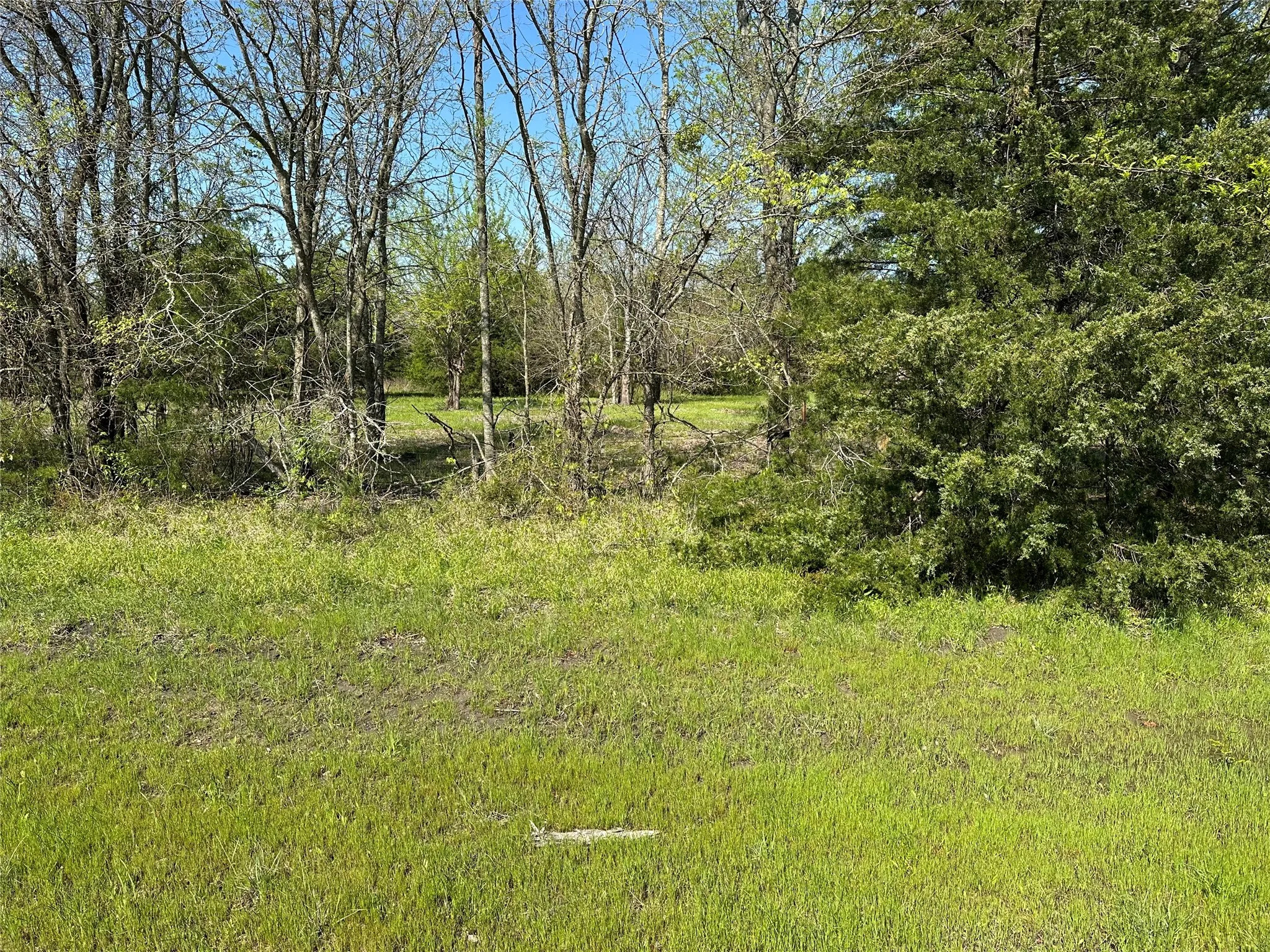 View of landscape