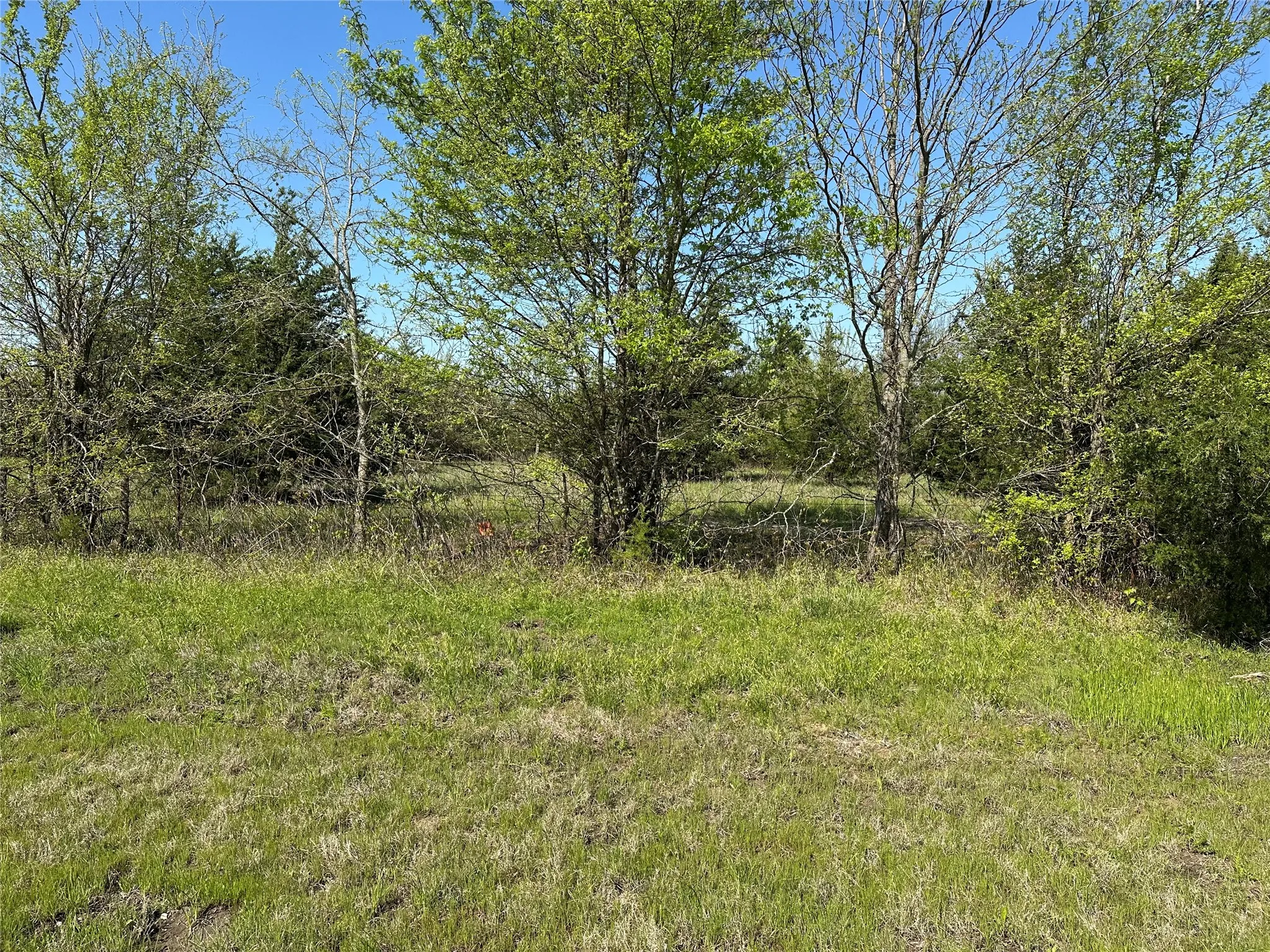 View of landscape